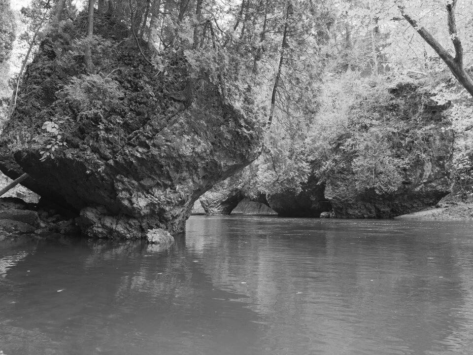 Public_Lands_Institute_-_Arc_of_Appalachia_-_002.tif.jpg