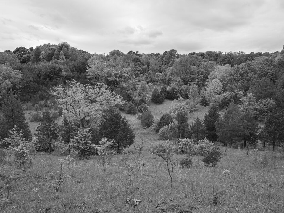 Public_Lands_Institute_-_Edge_of_Appalachia_Preserve_-_004.tif.jpg