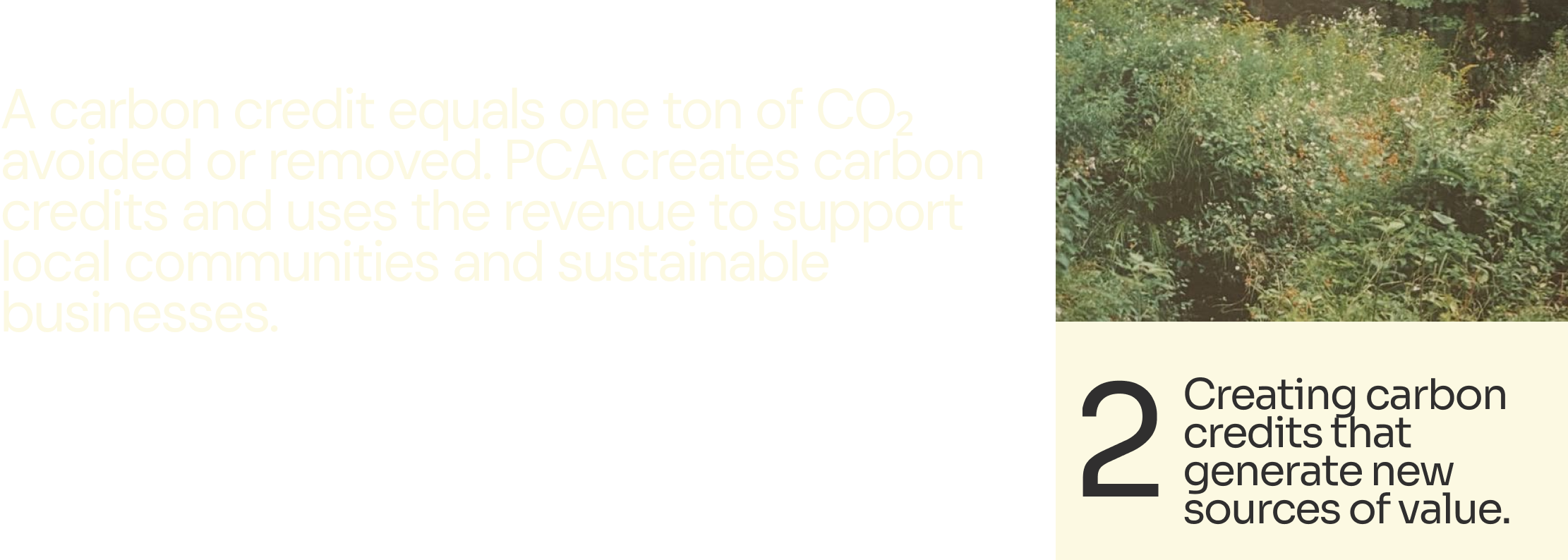 An informational graphic with a background of bushes explaining the benefits of creating carbon credits, including supporting local communities and generating new sources of value.