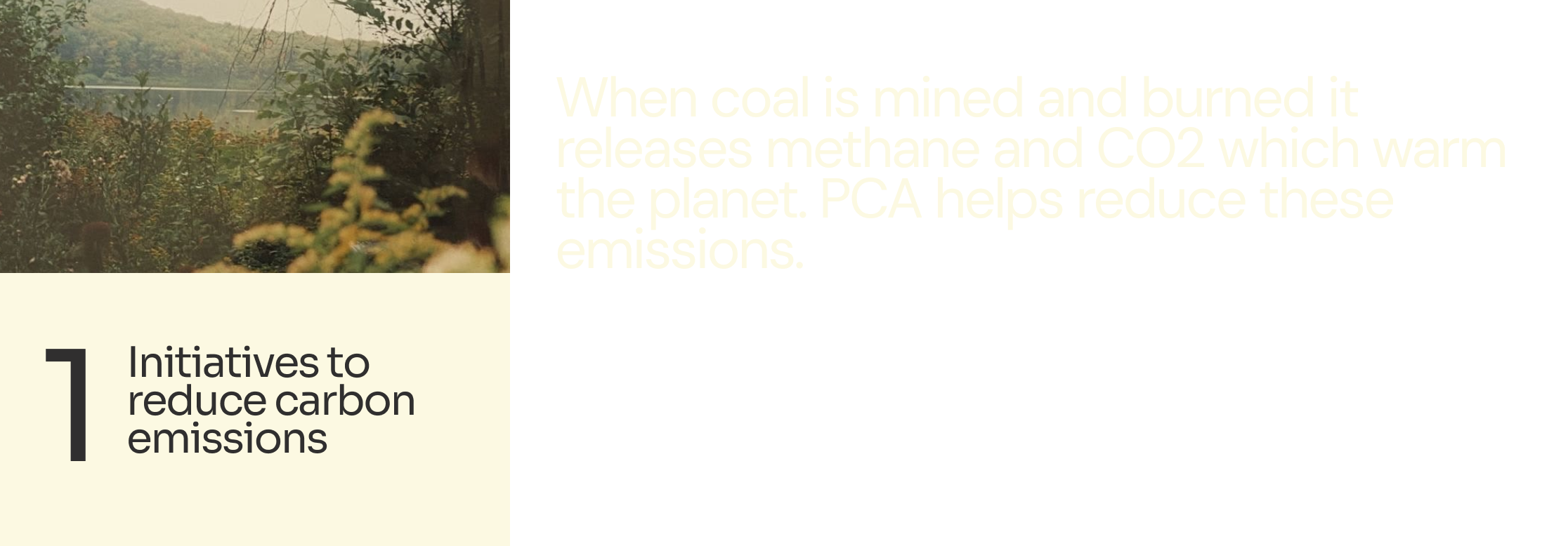 Part of a presentation slide with a background image of a natural outdoor scene, showing trees and a lake. The slide features a beige text box with black text that reads "Initiatives to reduce carbon emissions."