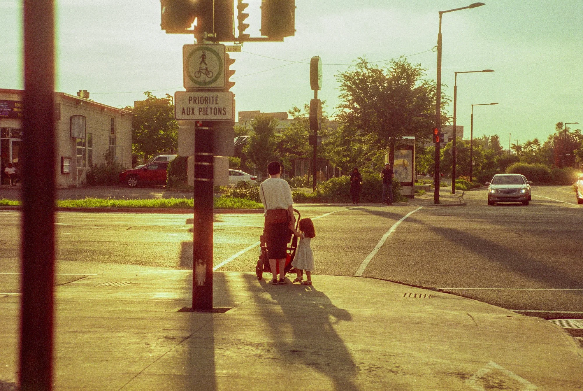A person with a stroller and a young girl holding hands waiting at a crosswalk during sunset, with trees, cars, and streetlights in the background.