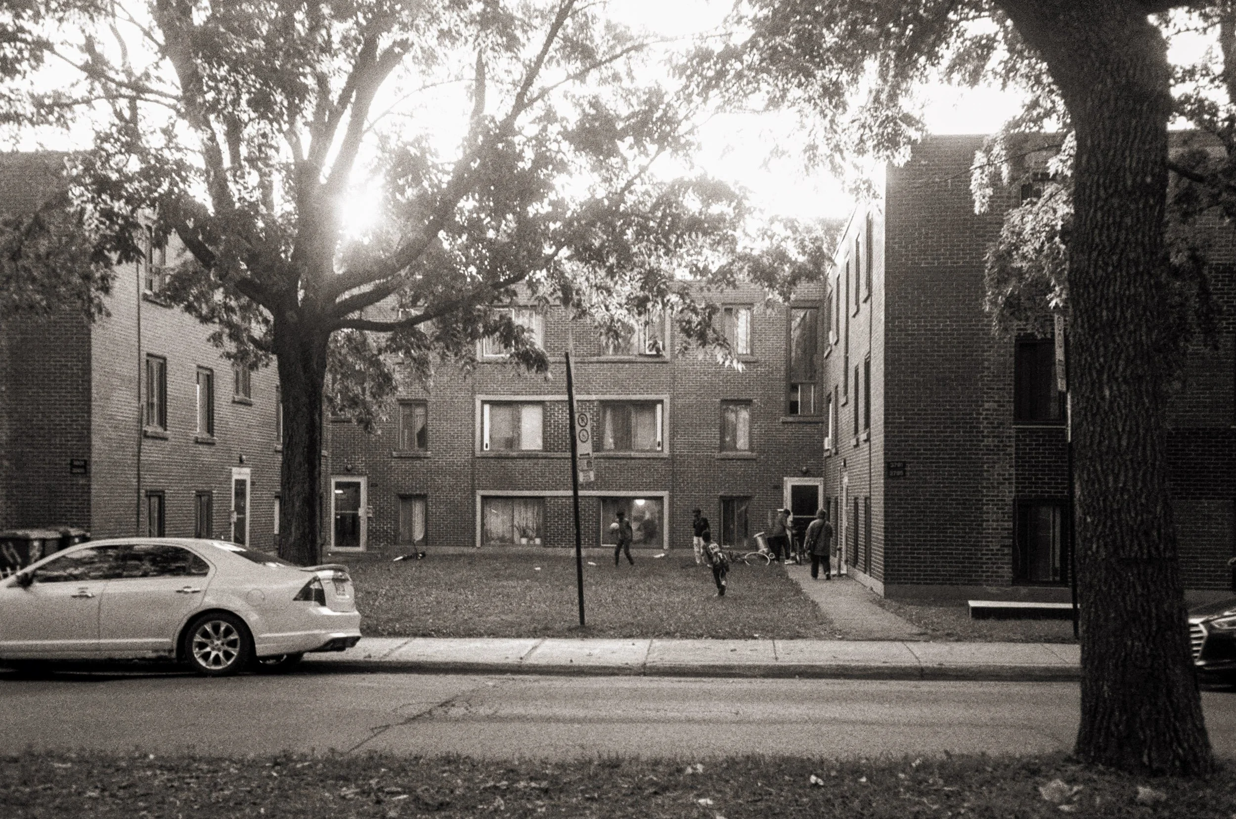 A residential apartment courtyard scene in black and white, with a large tree centered in the foreground. Several children are playing in the yard, some with bicycles. Two parked cars are visible on the street in front of the courtyard, and multiple 