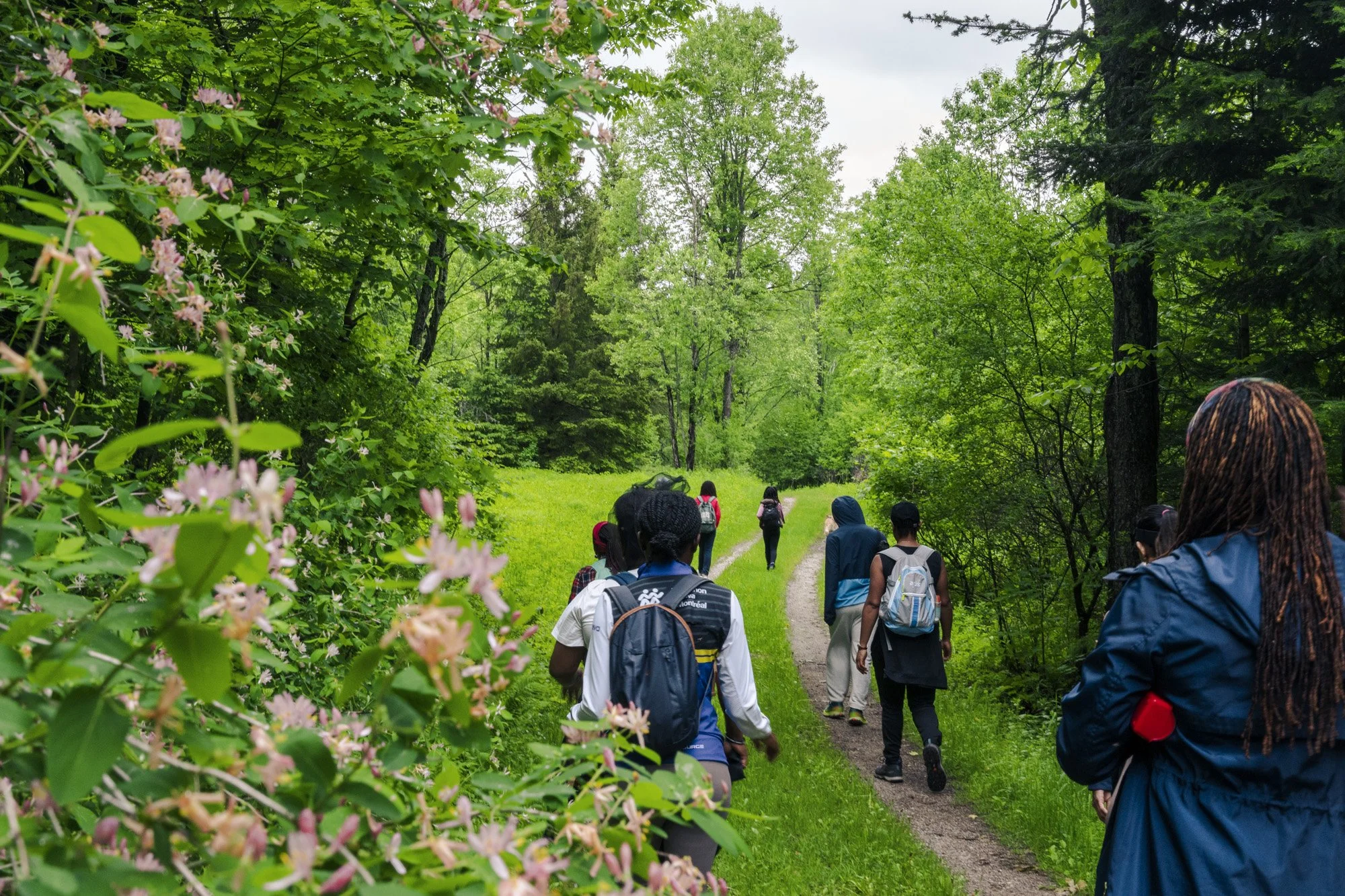 A group of people walking on a dirt trail through a green forested area, with trees and bushes on both sides, some with pink flowers.