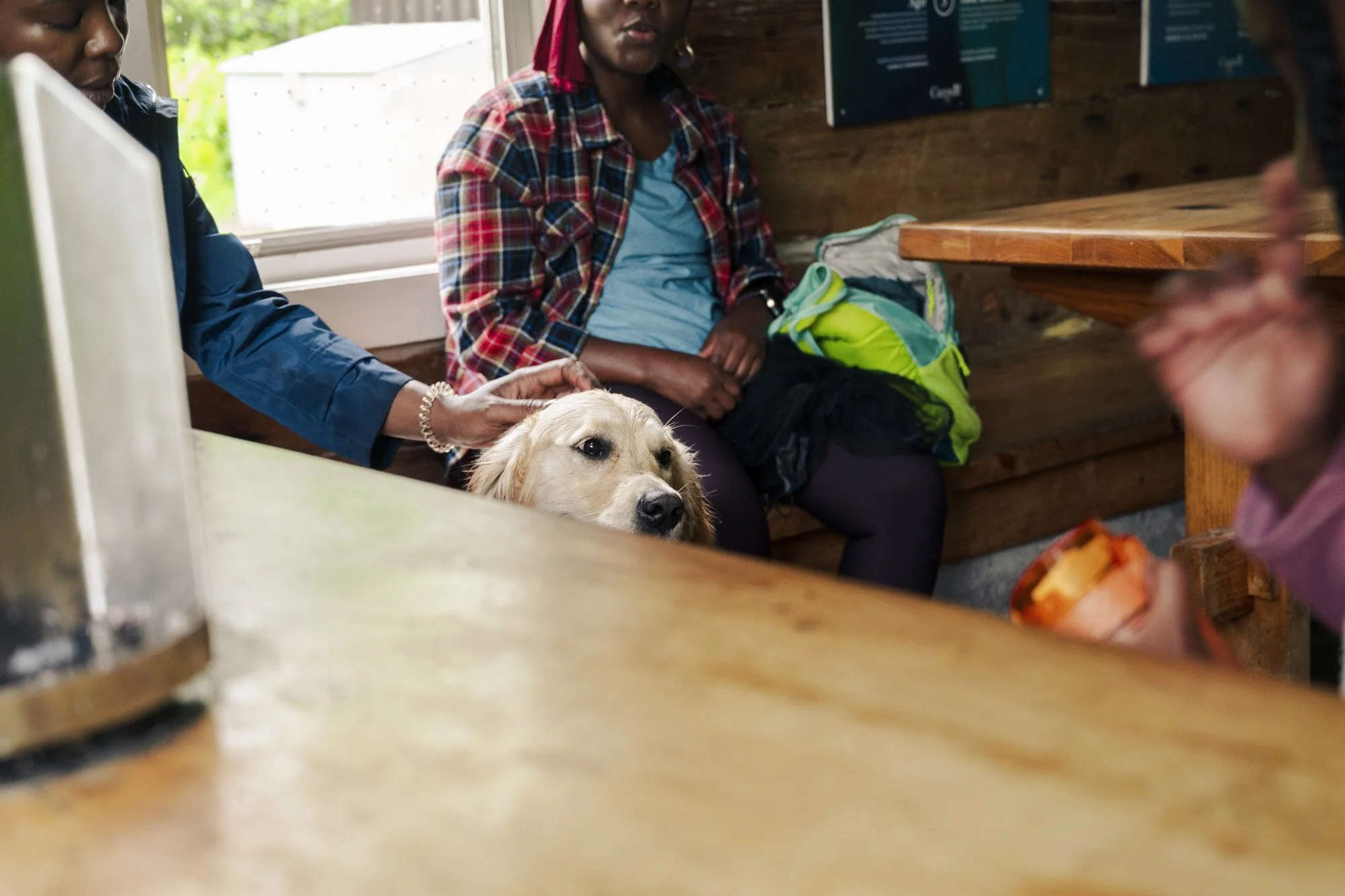 People sitting at a wooden table inside a cabin, with a golden retriever dog sitting on the woman's lap, other individuals partially visible, enjoying a snack or conversation.