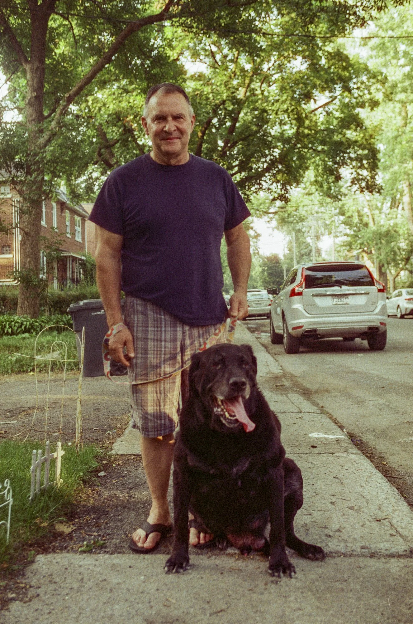 A man walking a large black dog on a sidewalk in a residential neighborhood with trees and parked cars.