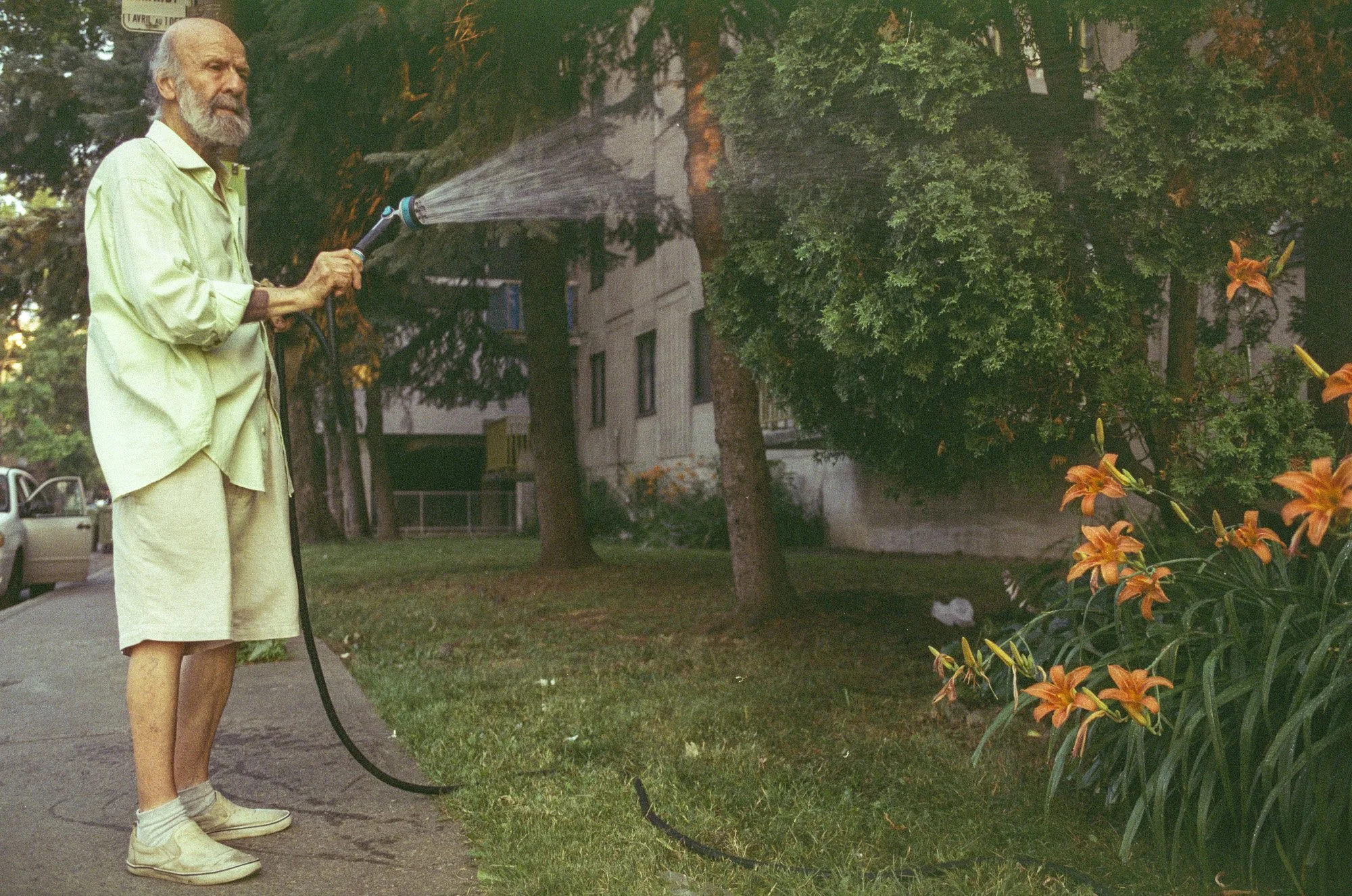 An elderly man with a beard, wearing a yellow jacket and shorts, is watering plants with a hose in a residential area during daytime.