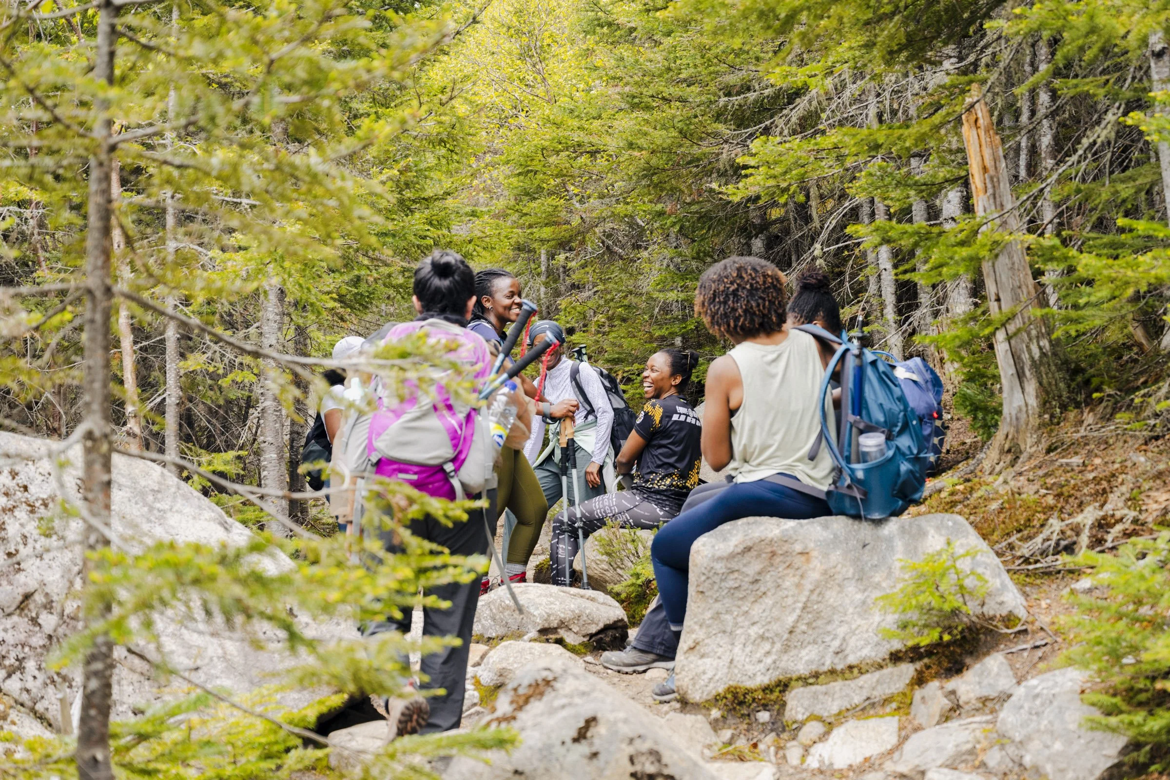 A group of people are sitting and chatting on rocks while surrounded by green trees on a forest trail during the day.