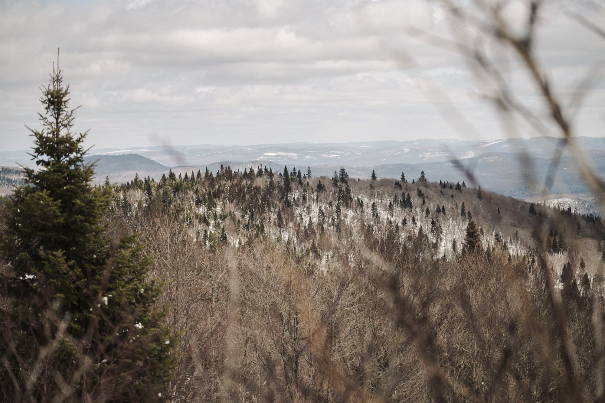 A scenic view of a mountainous landscape with trees in winter, some snow visible on the ground, and a cloudy sky overhead.