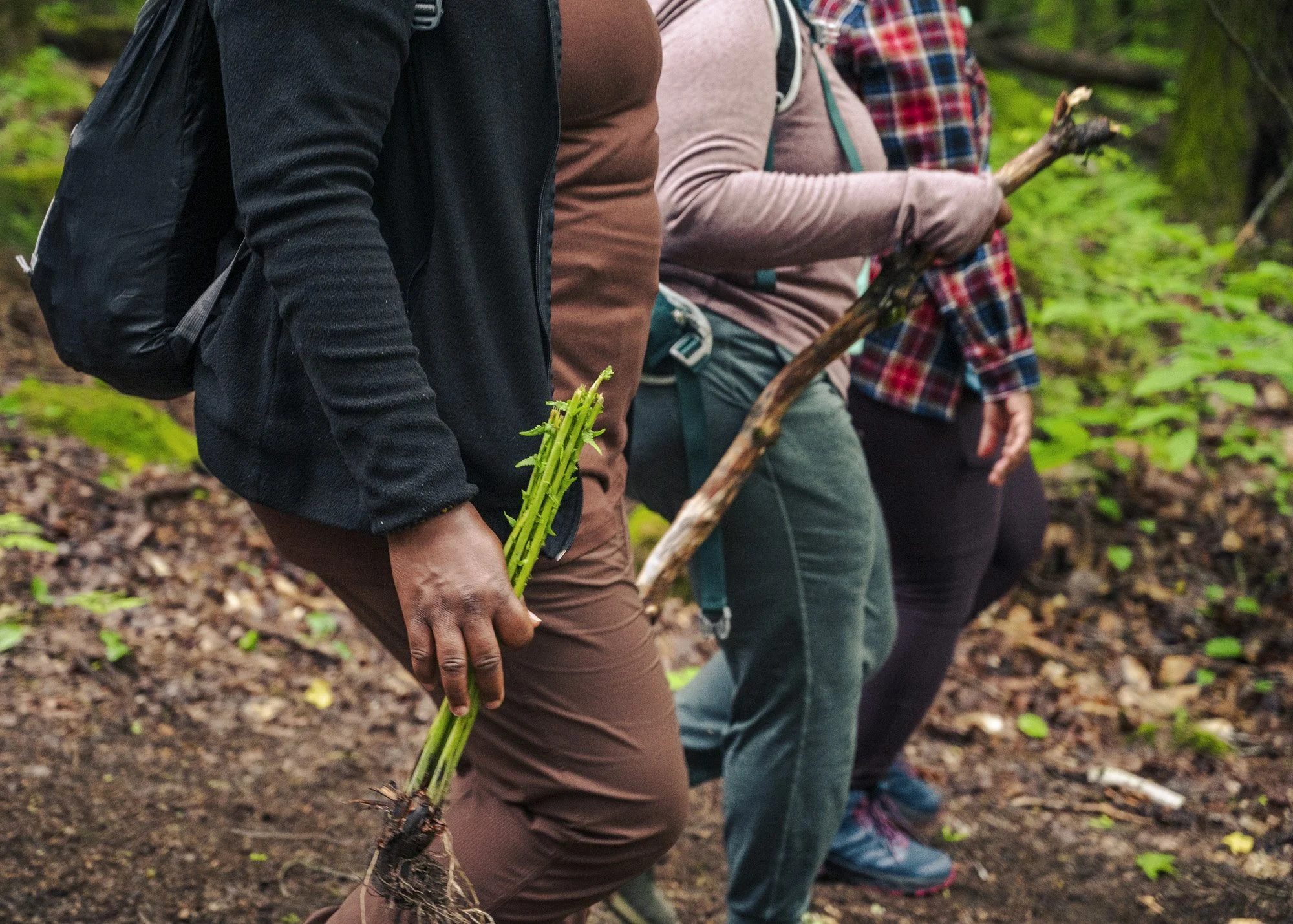 People in a forest, walking side by side, carrying walking sticks, with green foliage around.