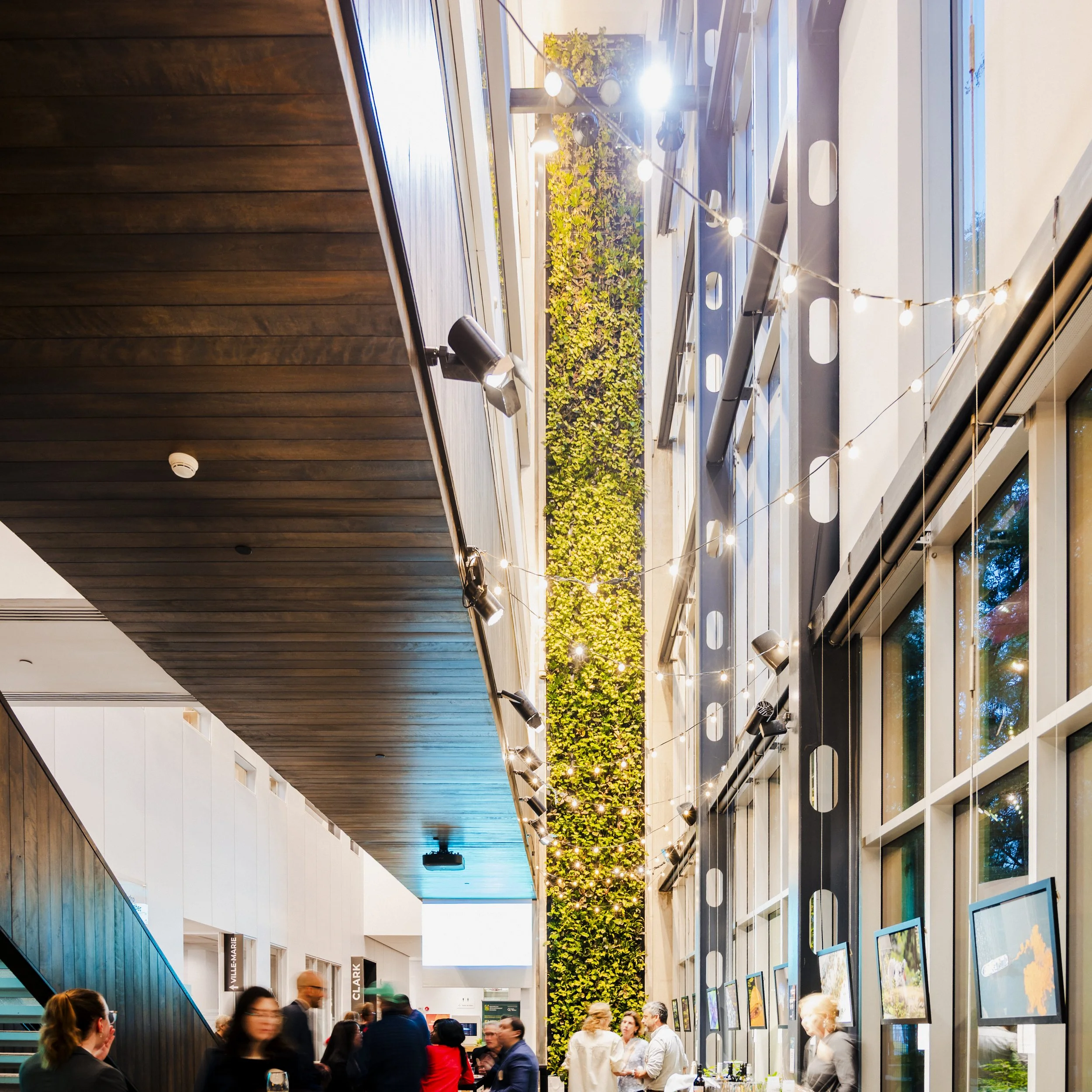 A modern indoor space with high ceilings, wooden and glass walls, green plants on a vertical garden, and people socializing at tables, illuminated by hanging string lights and spotlights.