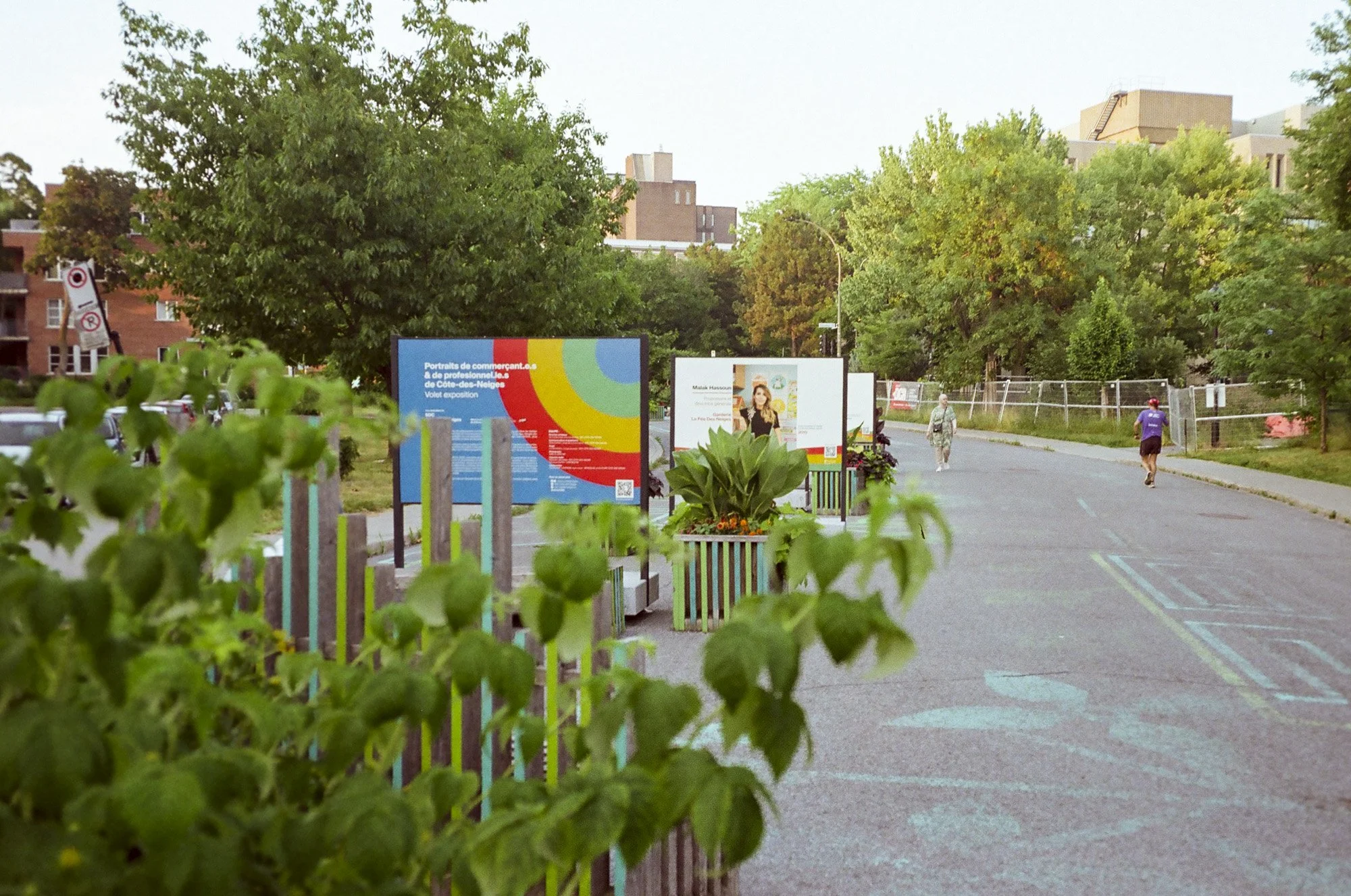 An urban park scene with large green trees, a paved walkway, colorful informational signs, and a few people walking on the path. Buildings are visible in the background.
