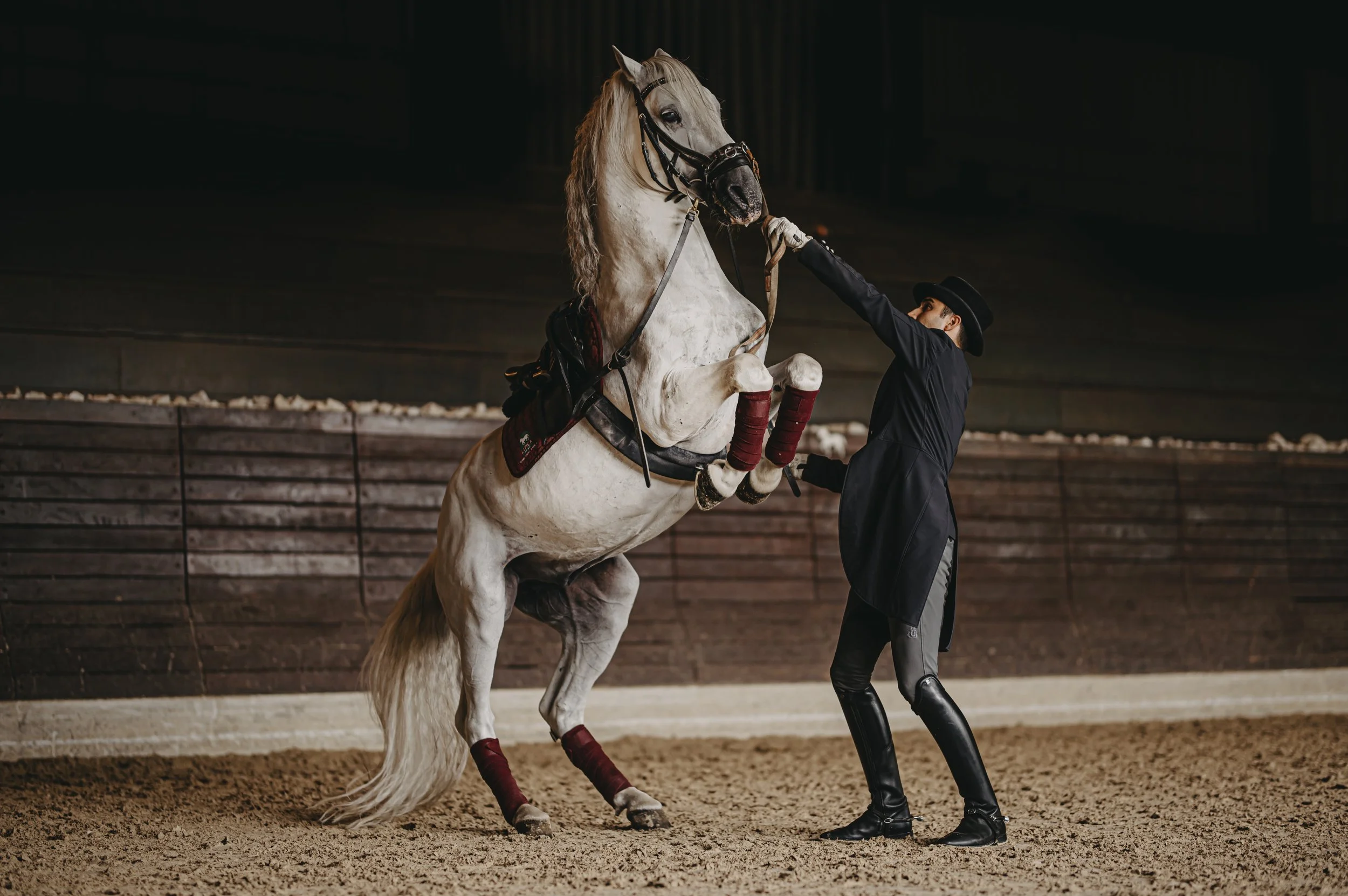 Horse Show