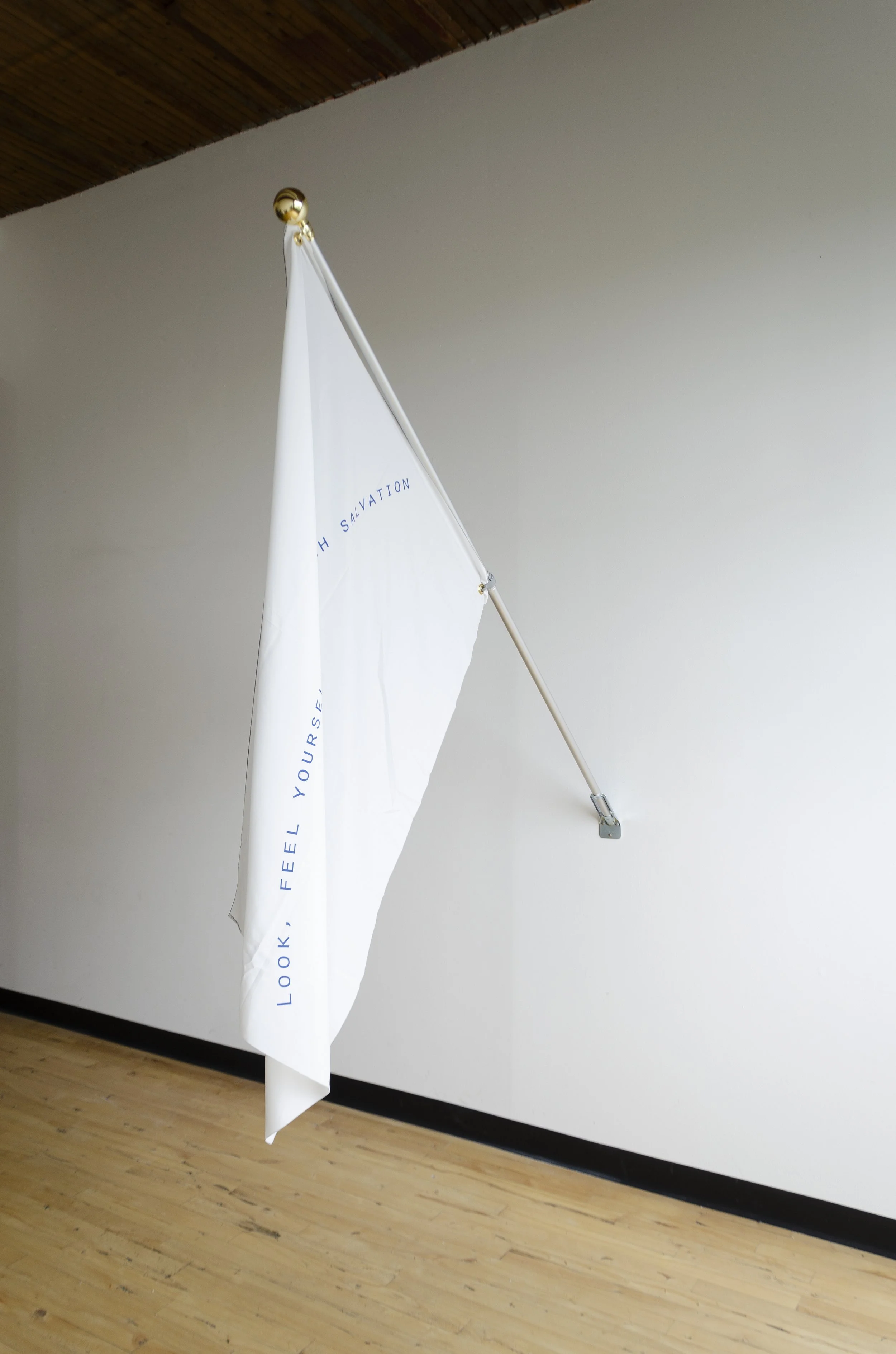 Maxim I, 2019
Inkjet on polyester crêpe
39 x 54 in
99.06 x 137.16 cm
