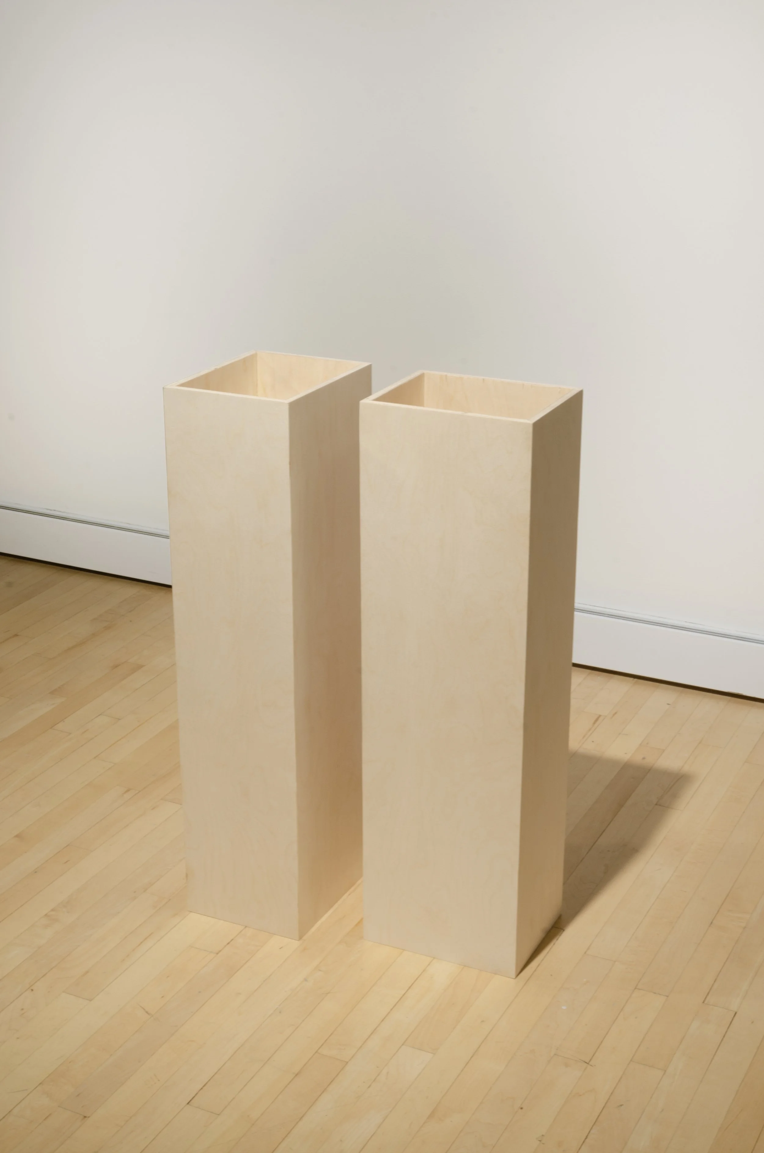 De Spermate (On the Use of Parts), 2022
Birch plywood
Diptych, 8” x 10” x 34” each