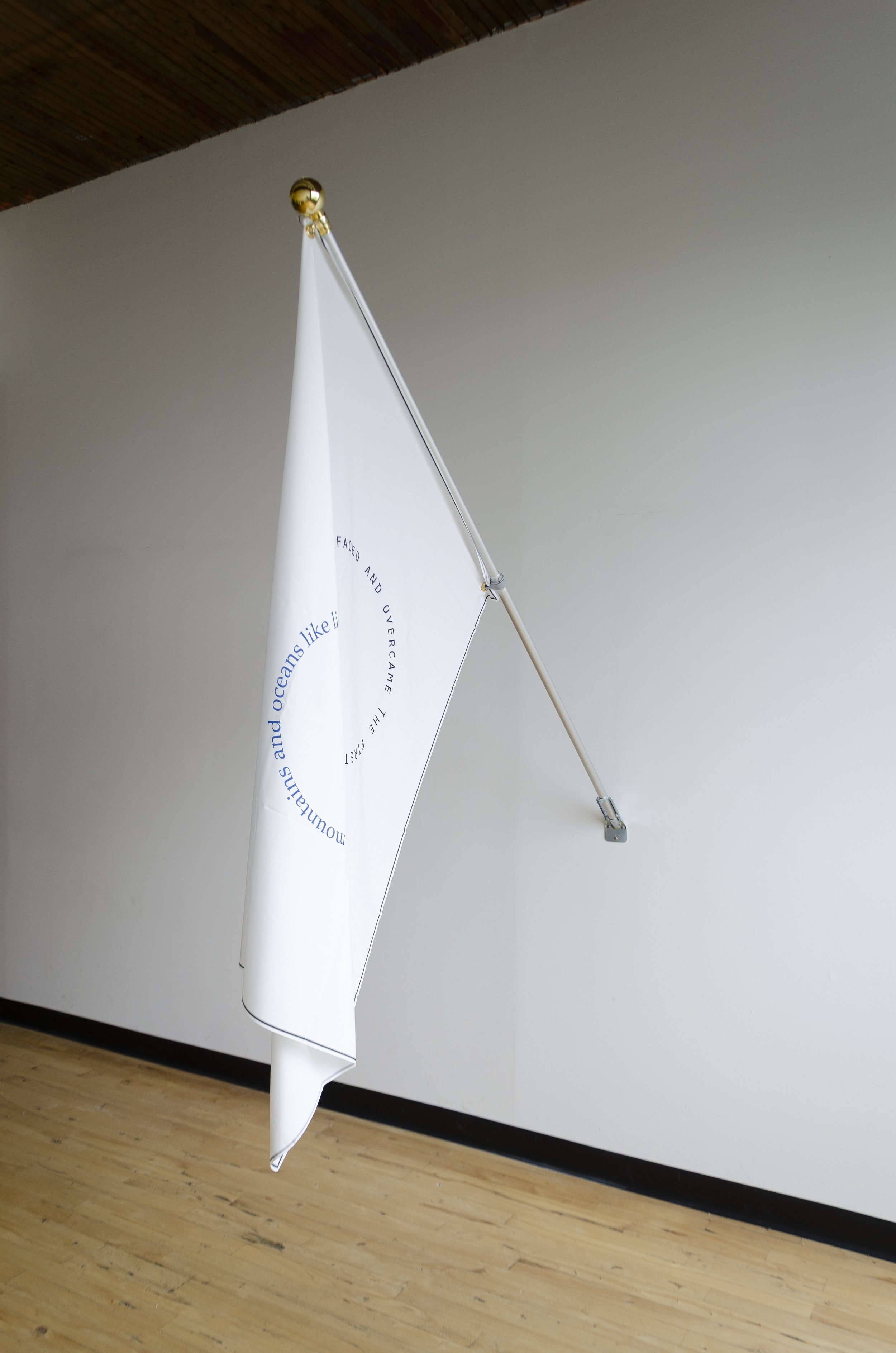 Maxim IV, 2019
Inkjet on polyester crêpe
39 x 54 in
99.06 x 137.16 cm