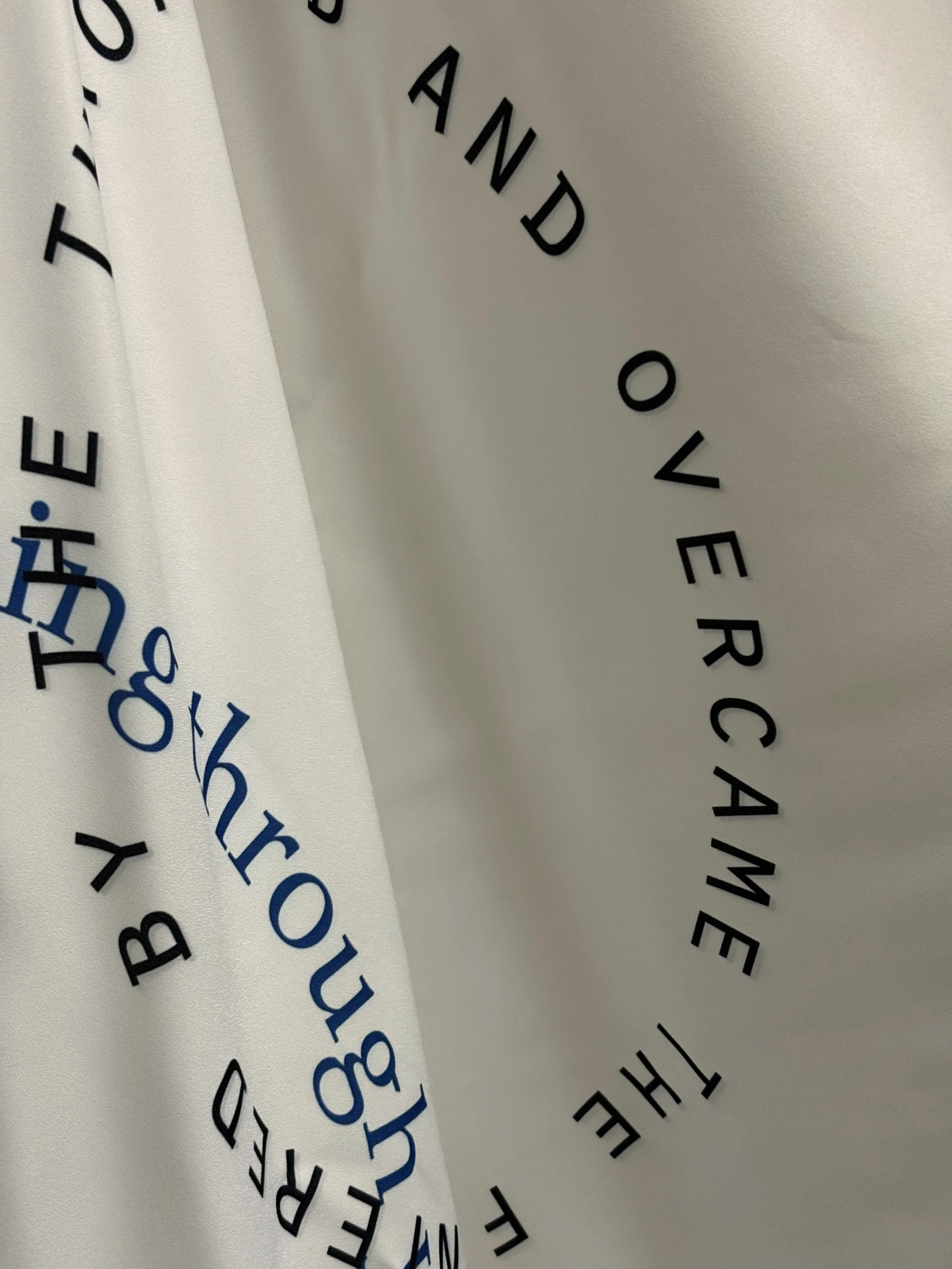 Maxim IV, 2019 (detail)
Inkjet on polyester crêpe
39 x 54 in
99.06 x 137.16 cm