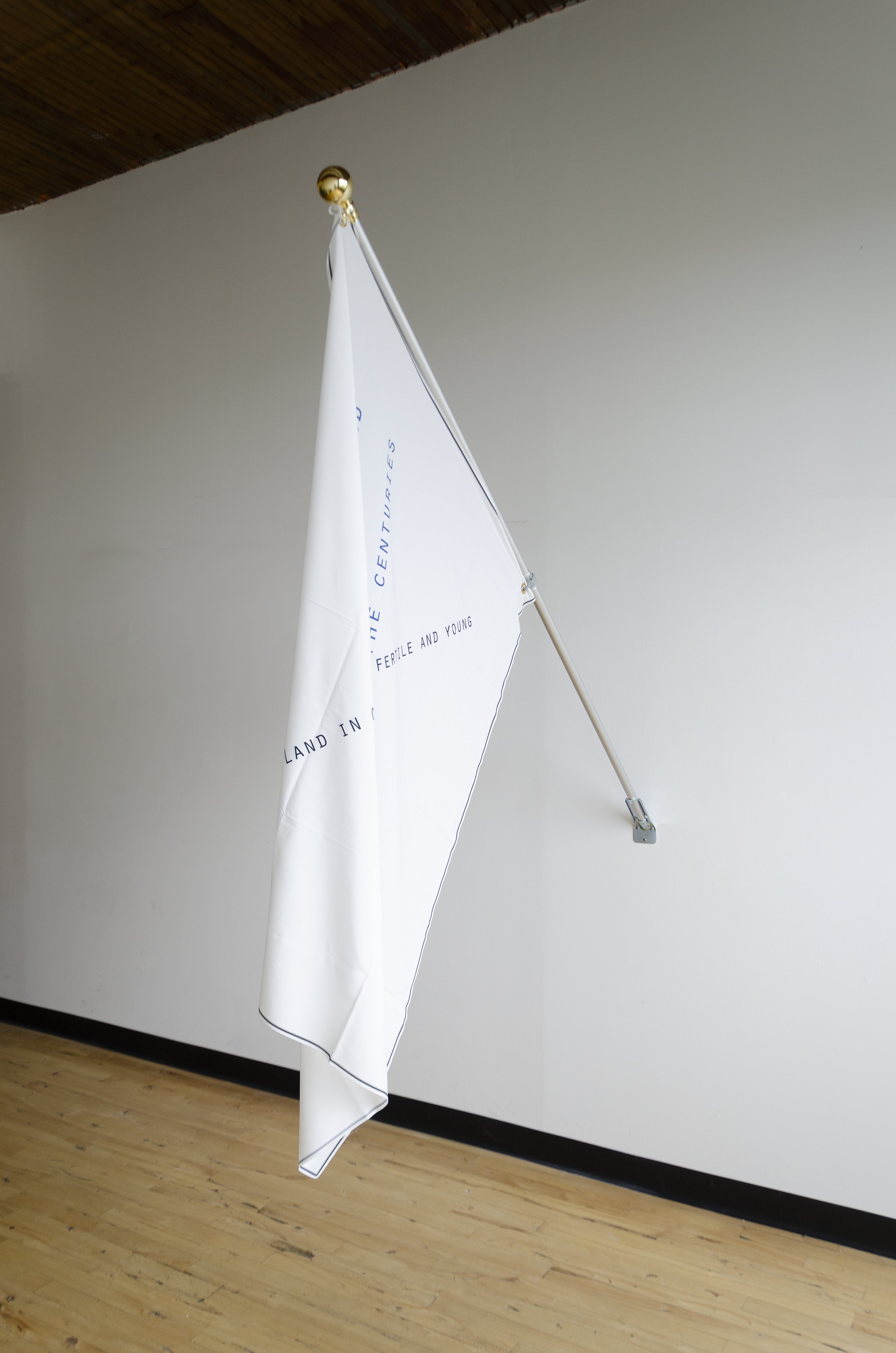 Maxim II, 2019
Inkjet on polyester crêpe
39 x 54 in
99.06 x 137.16 cm