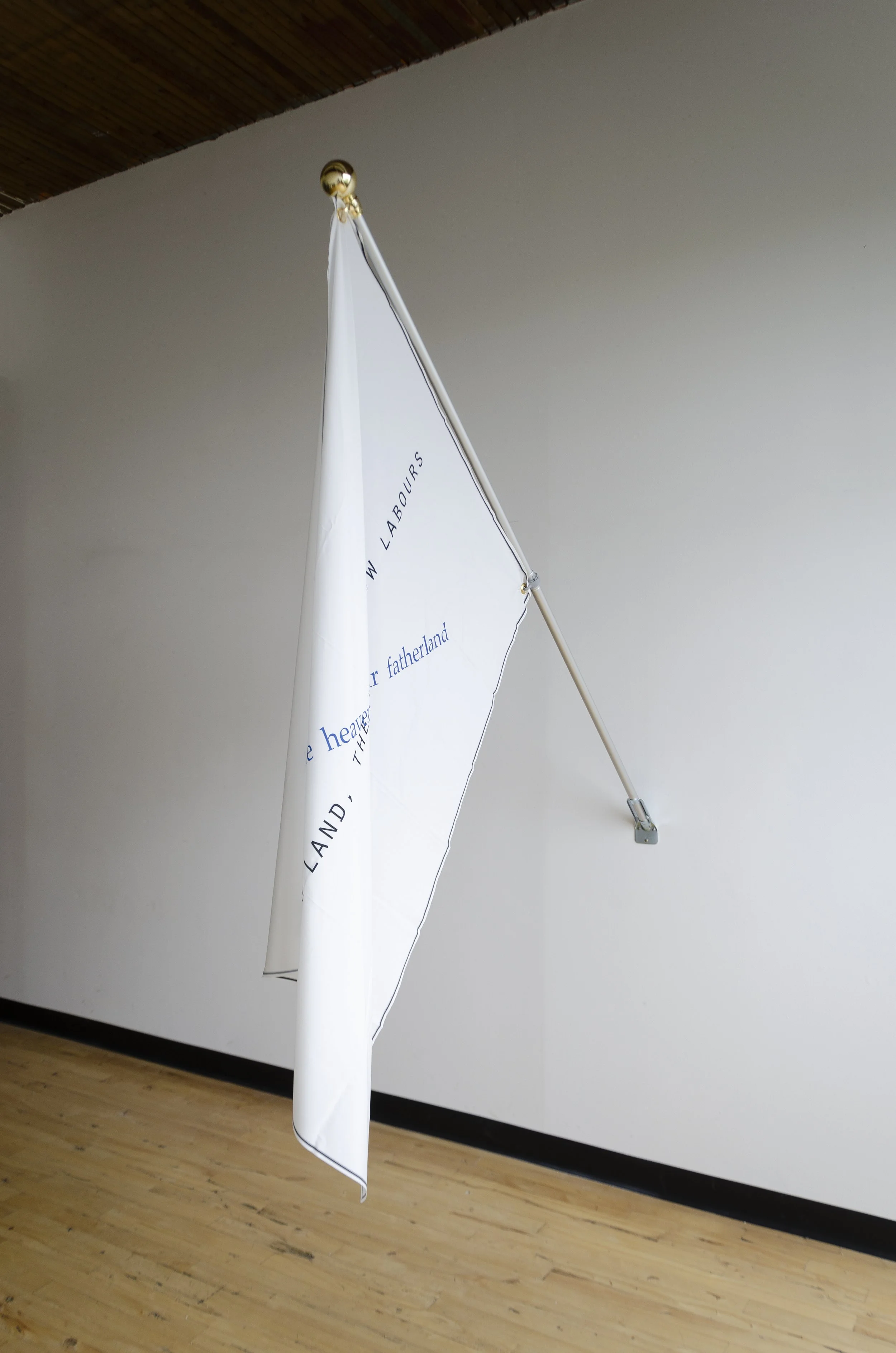 Maxim V, 2019
Inkjet on polyester crêpe
39 x 54 in
99.06 x 137.16 cm