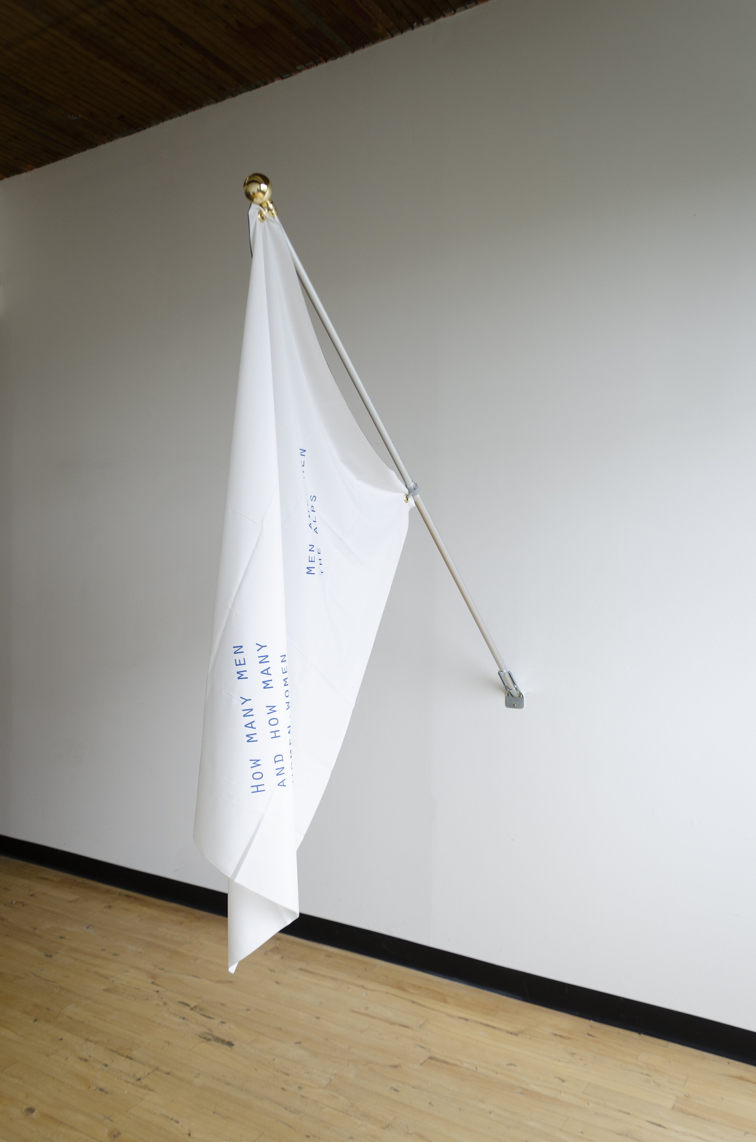 Maxim III, 2019
Inkjet on polyester crêpe
39 x 54 in
99.06 x 137.16 cm