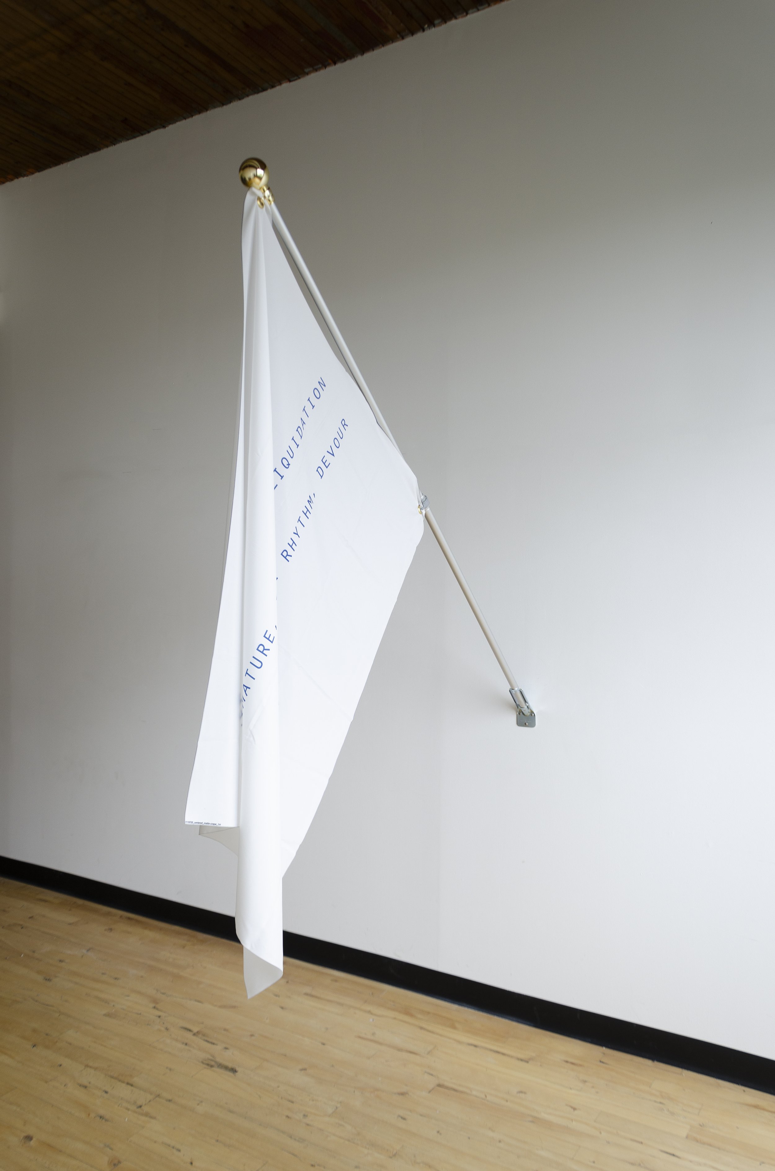 Maxim VI, 2019
Inkjet on polyester crêpe
39 x 54 in
99.06 x 137.16 cm