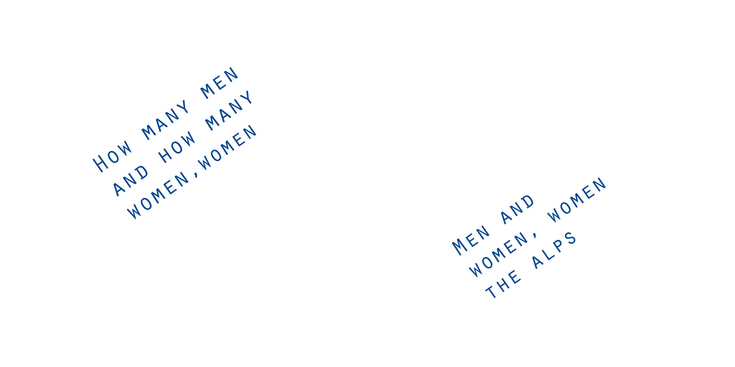 Maxim III, 2019
Inkjet on polyester crêpe
39 x 54 in
99.06 x 137.16 cm