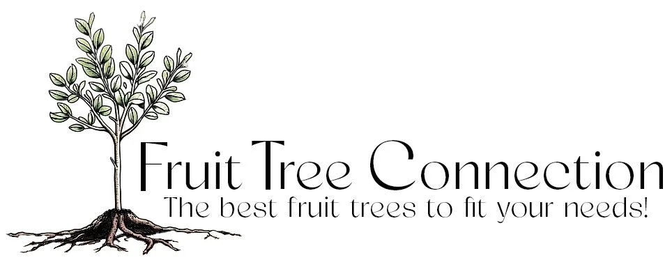 Illustration of a fruit tree with roots, alongside the text 'Fruit Tree Connection' and the tagline 'The best fruit trees to fit your needs!'