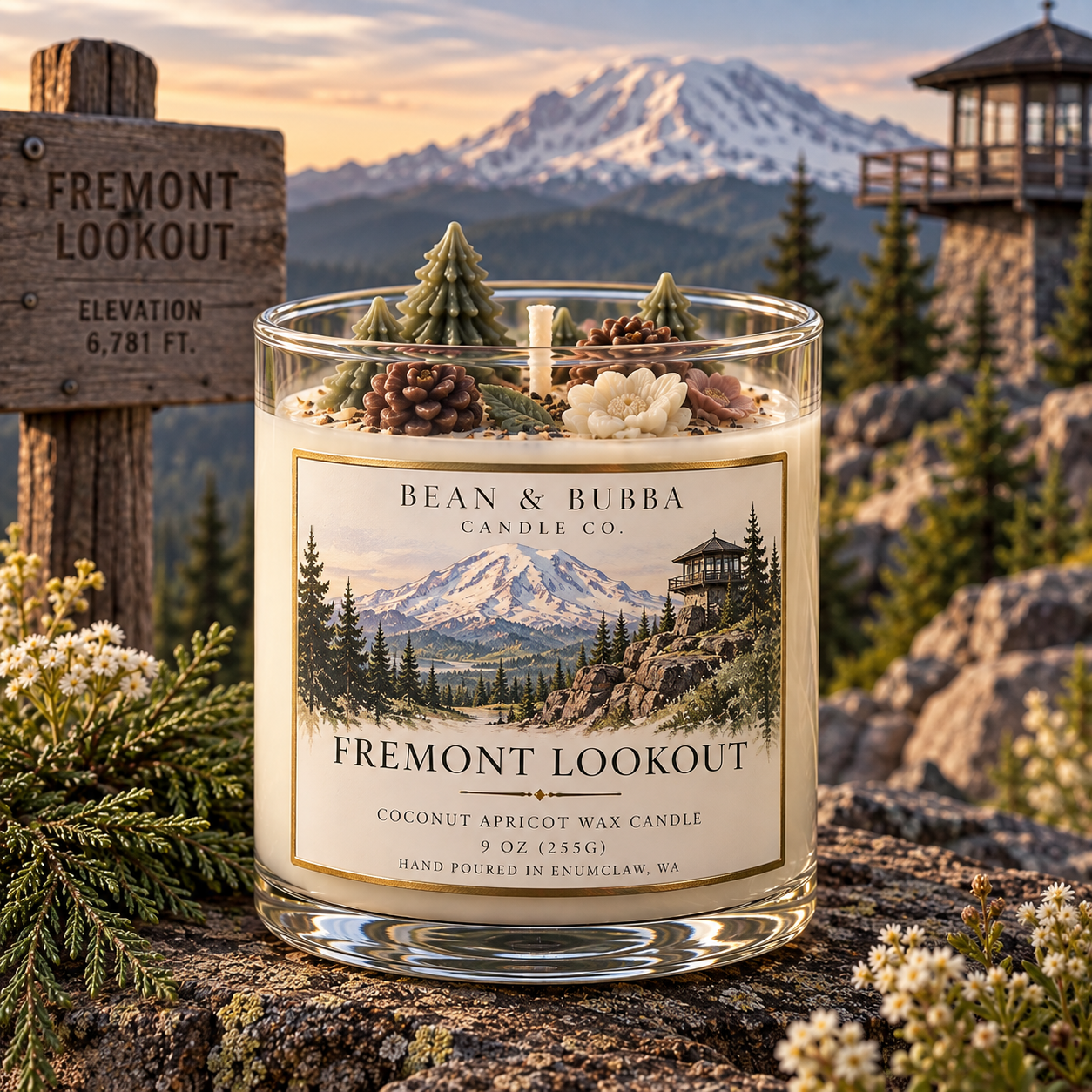 Fremont Lookout