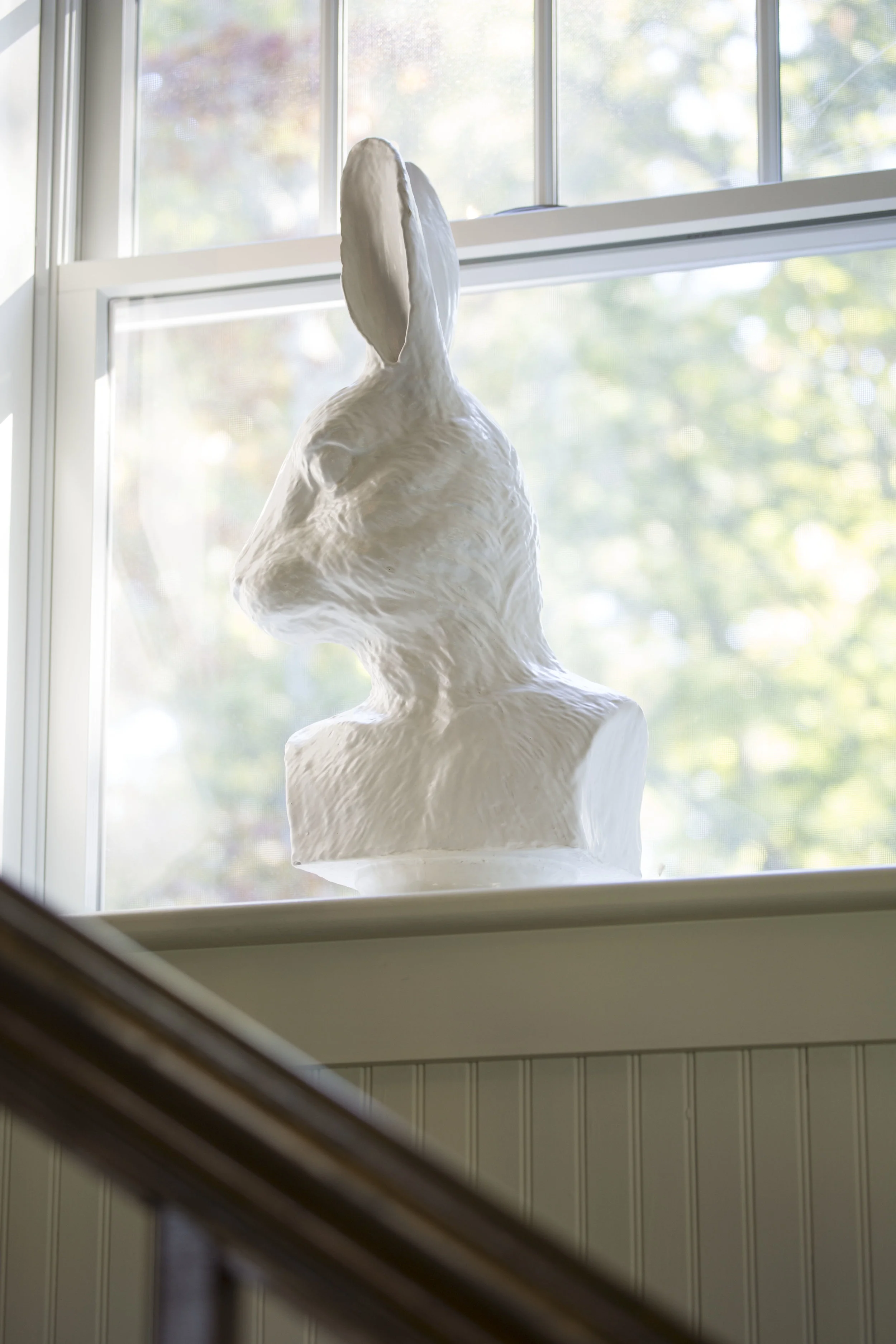 bunny head.jpg