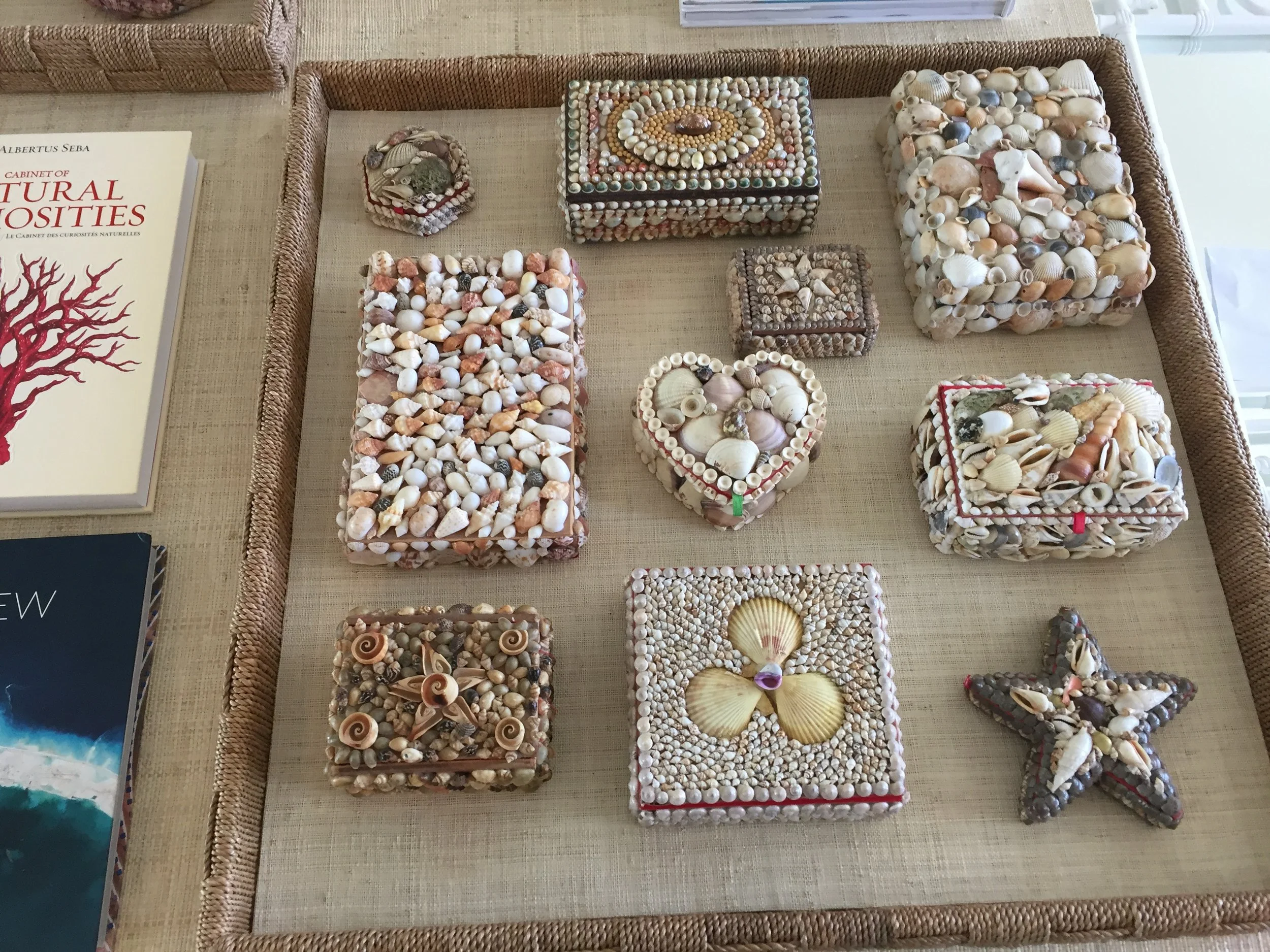 shell boxes 2.JPG