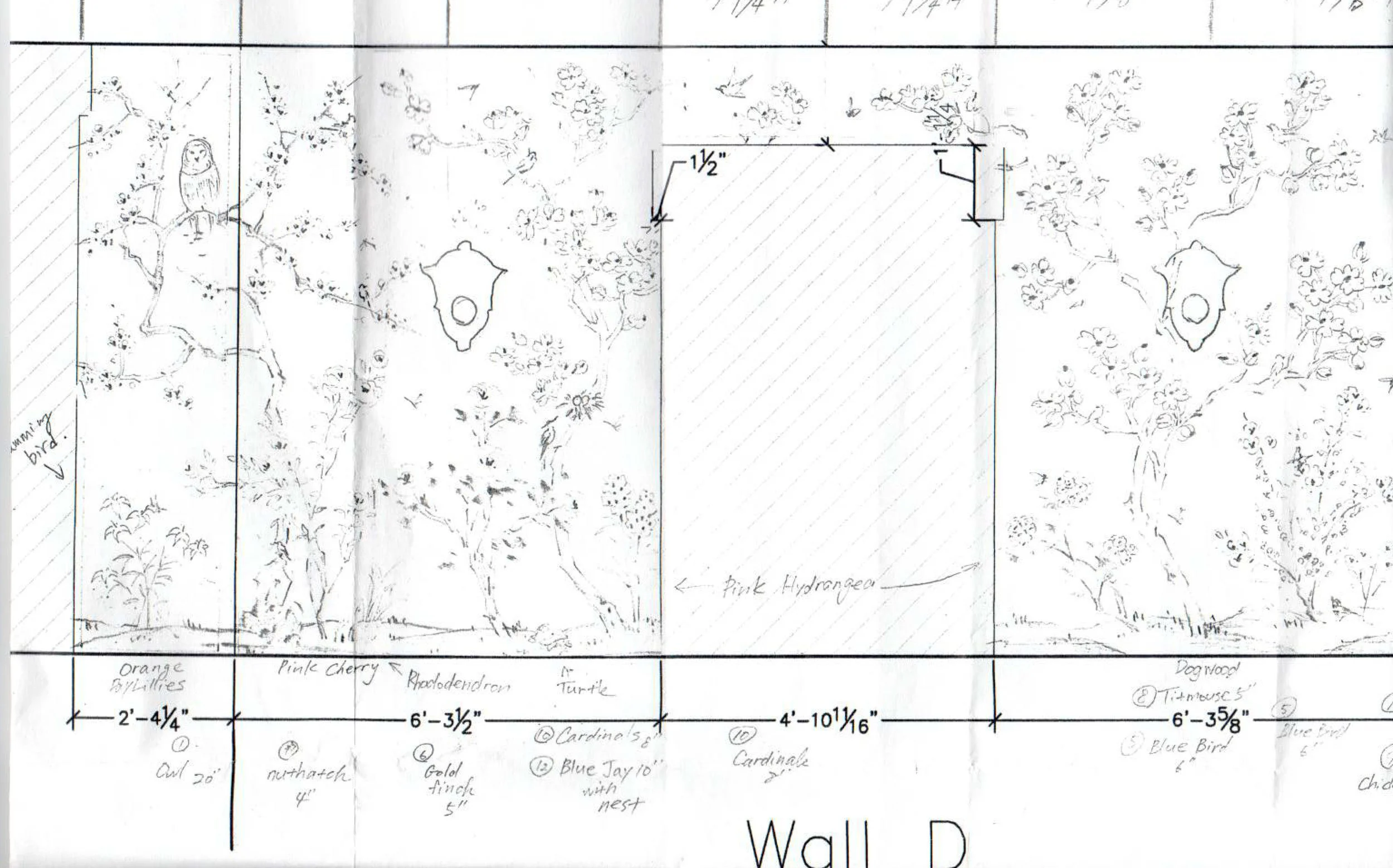 Huffard Wallpaper Drawing 3.jpg