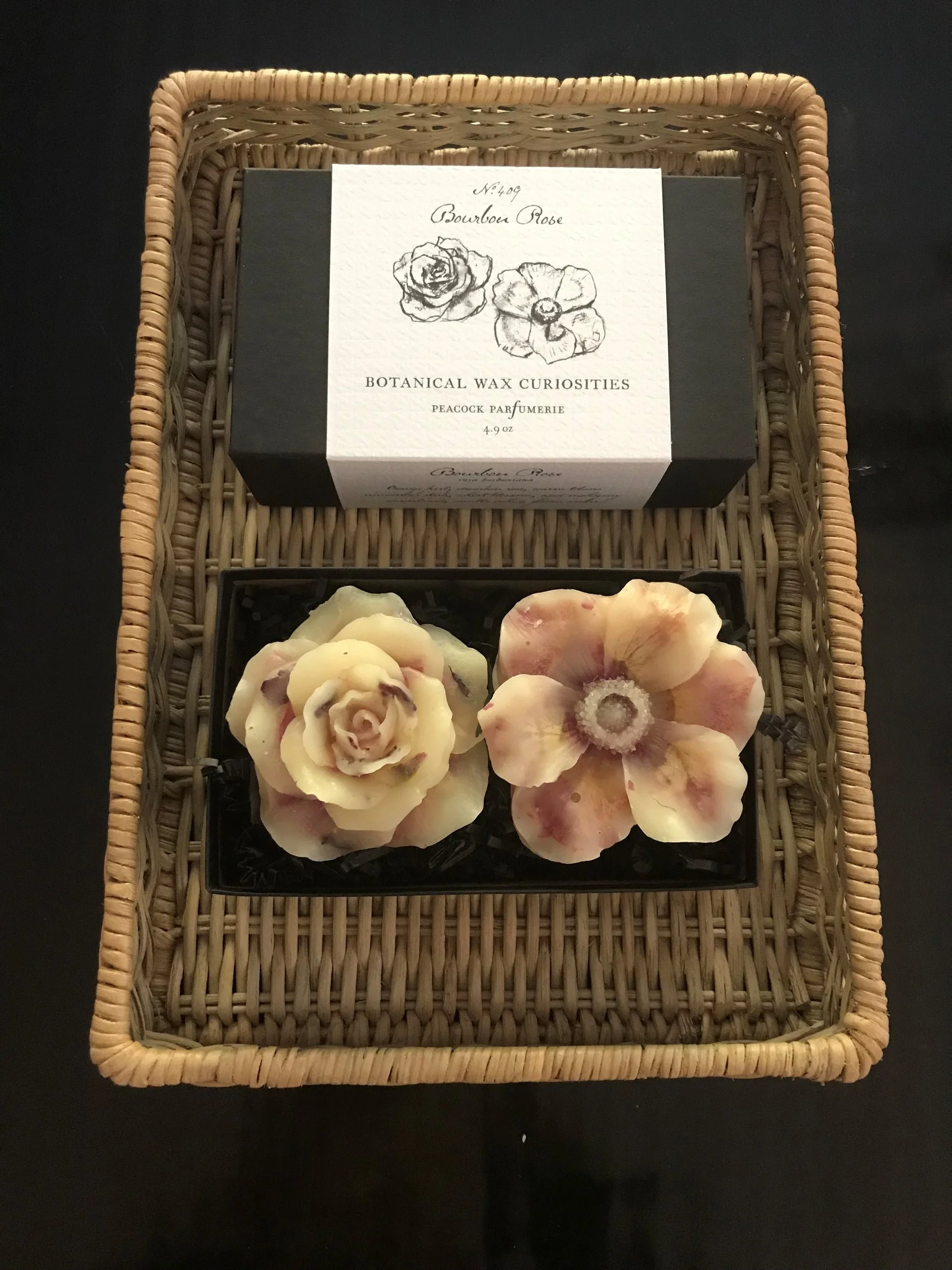 SCW Interiors Guest Bedroom Botanical Wax Curiosities II
