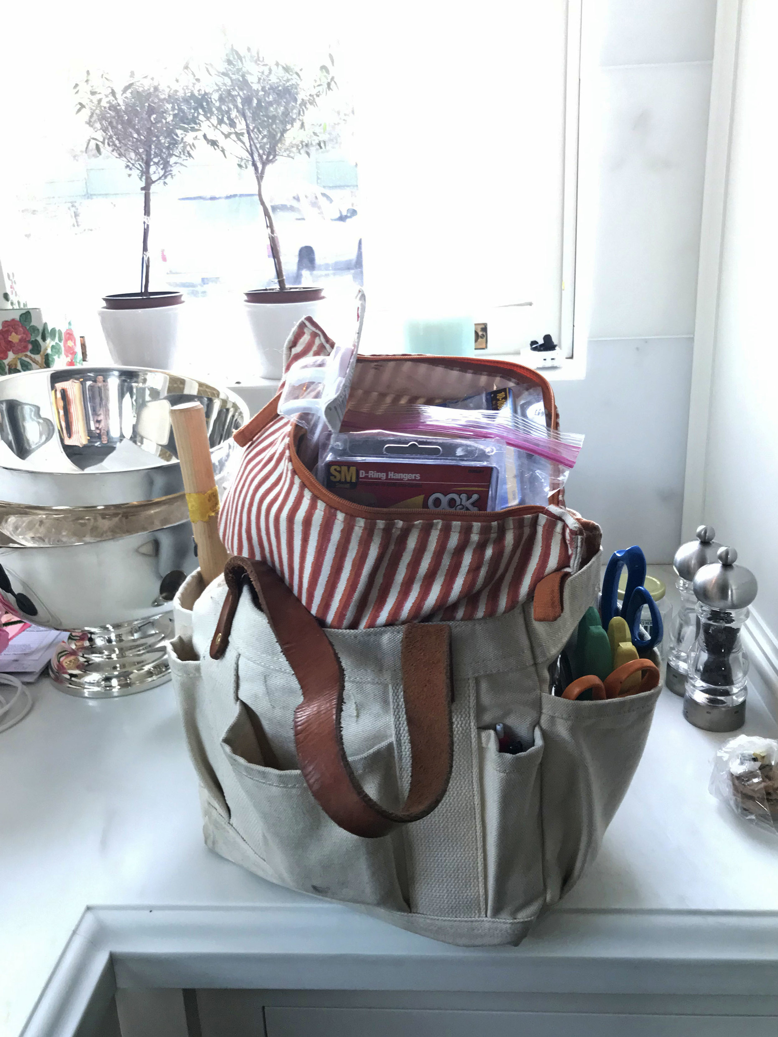 008 - Bag on Kitchen Counter.jpg
