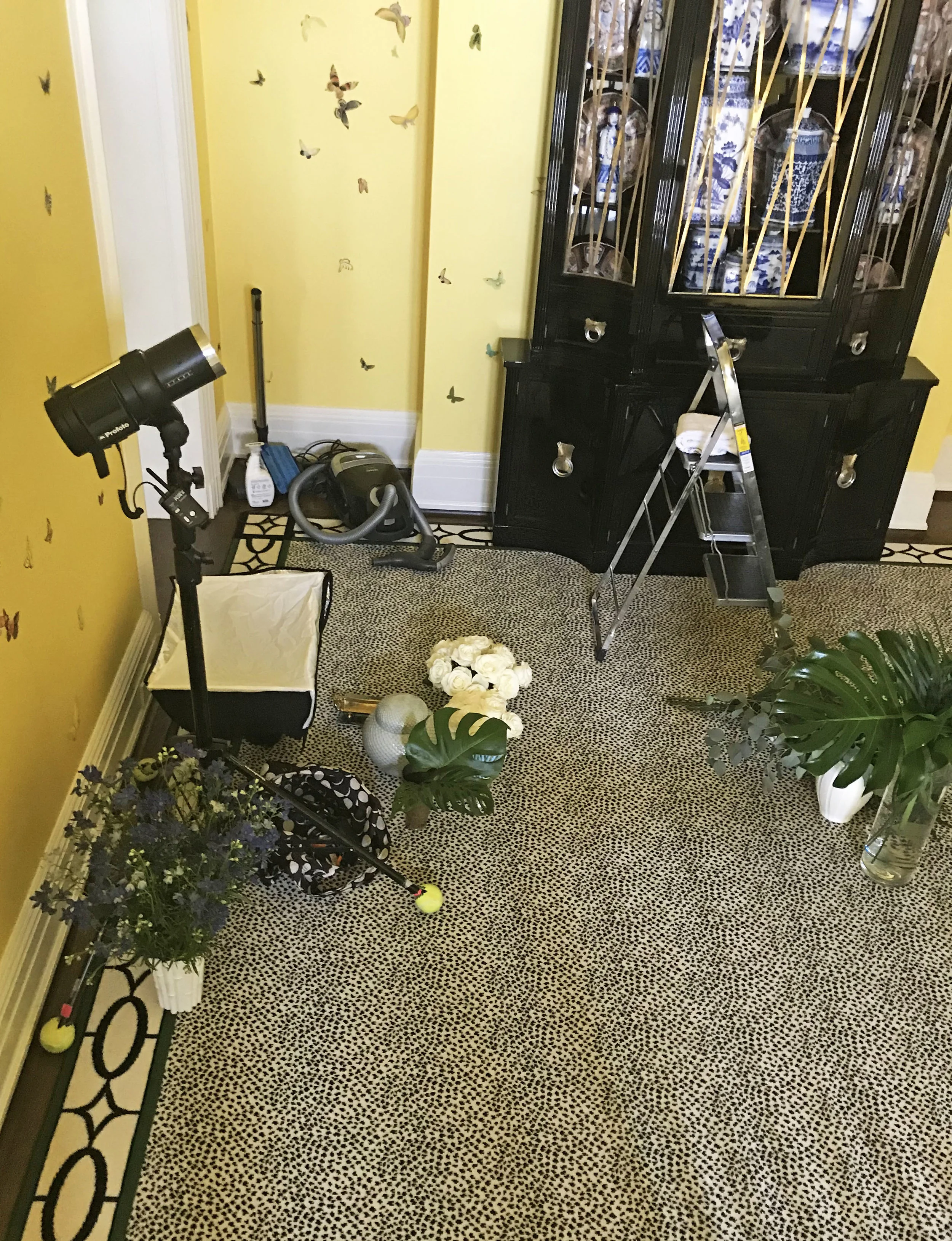 018 - Photography Pile.jpg