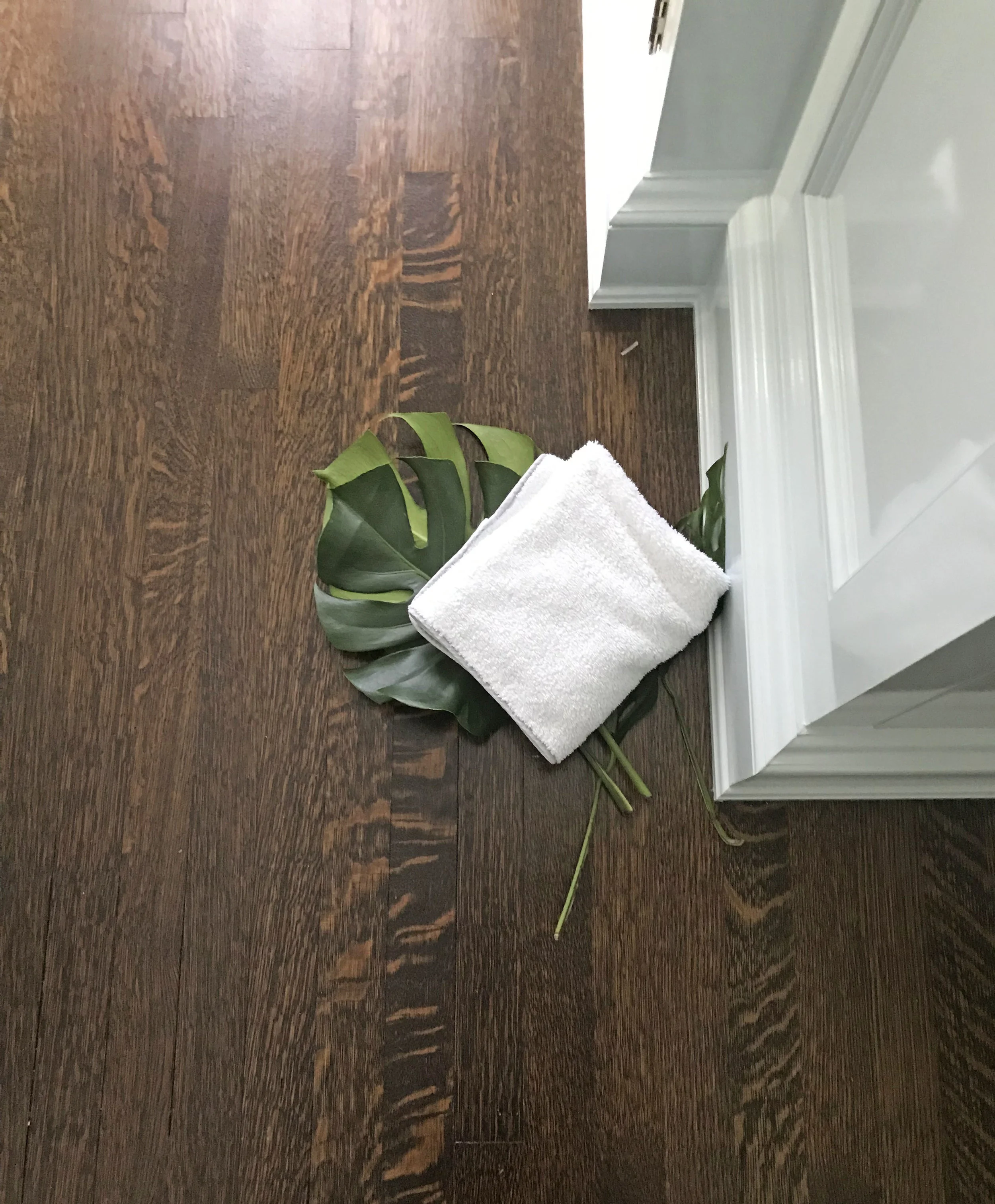 019 - Tossed Palm Frond.jpg