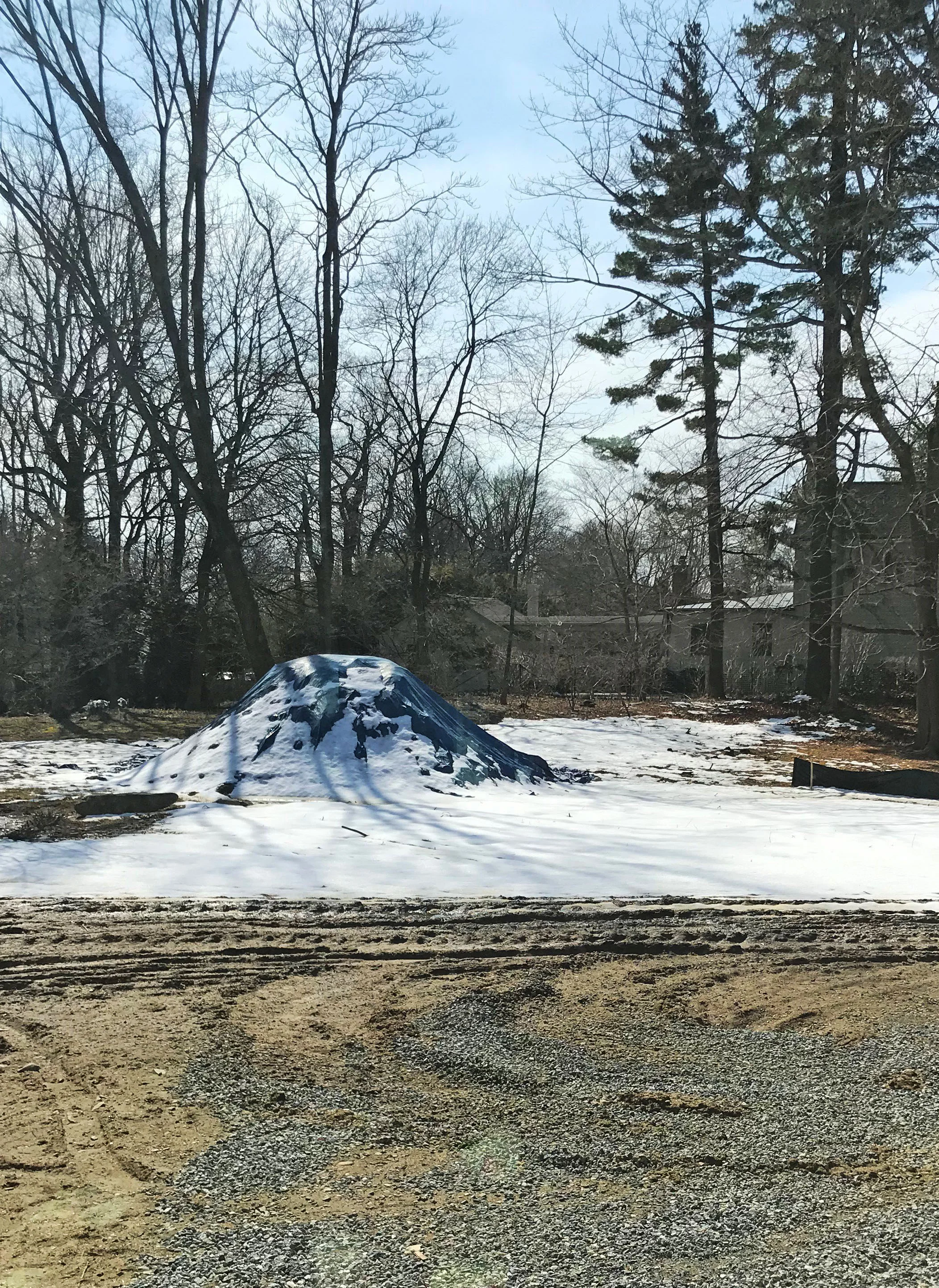022 - Snow Yard.jpg