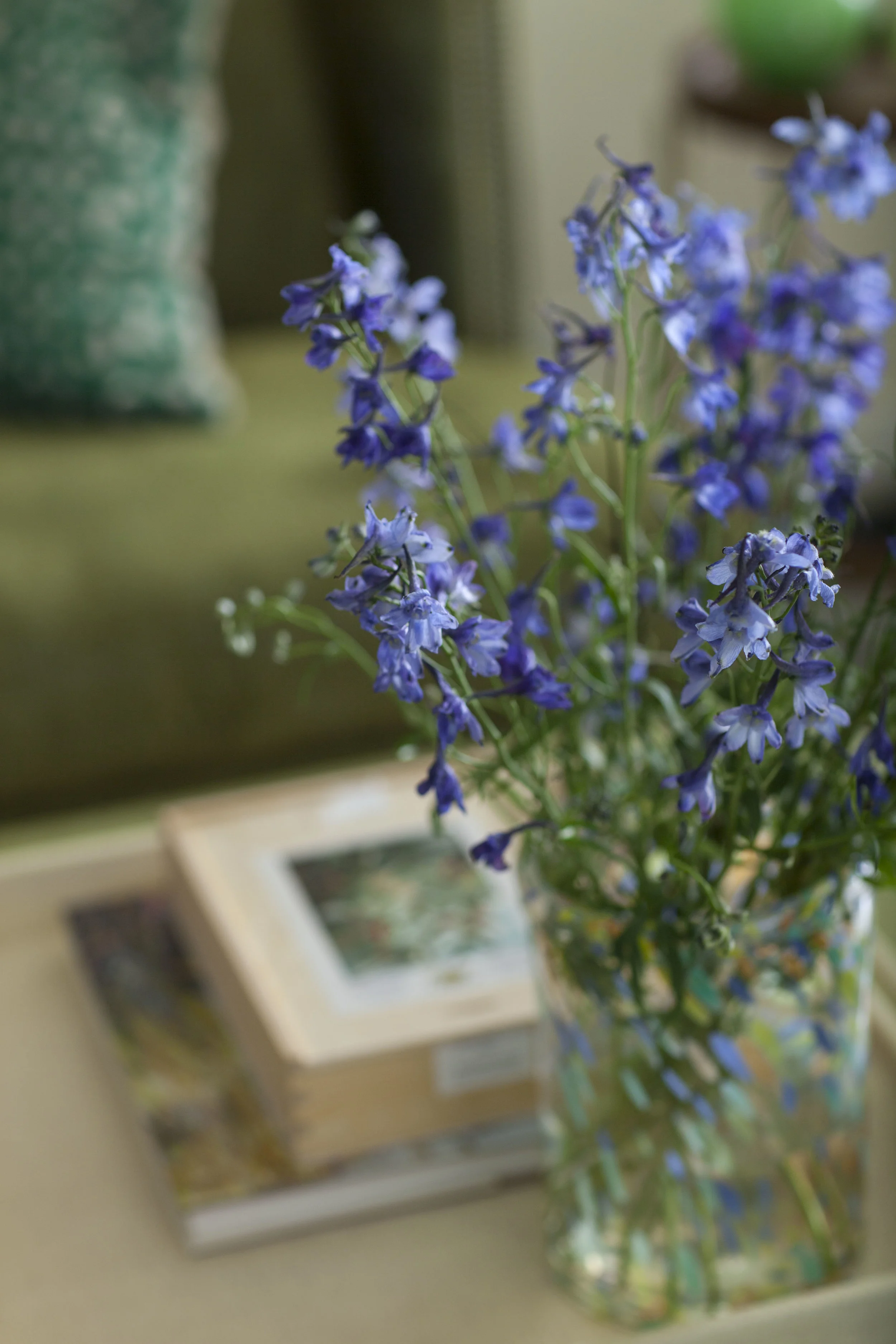 Detail Shot, Floral Arrangement In Living Room (Copy)