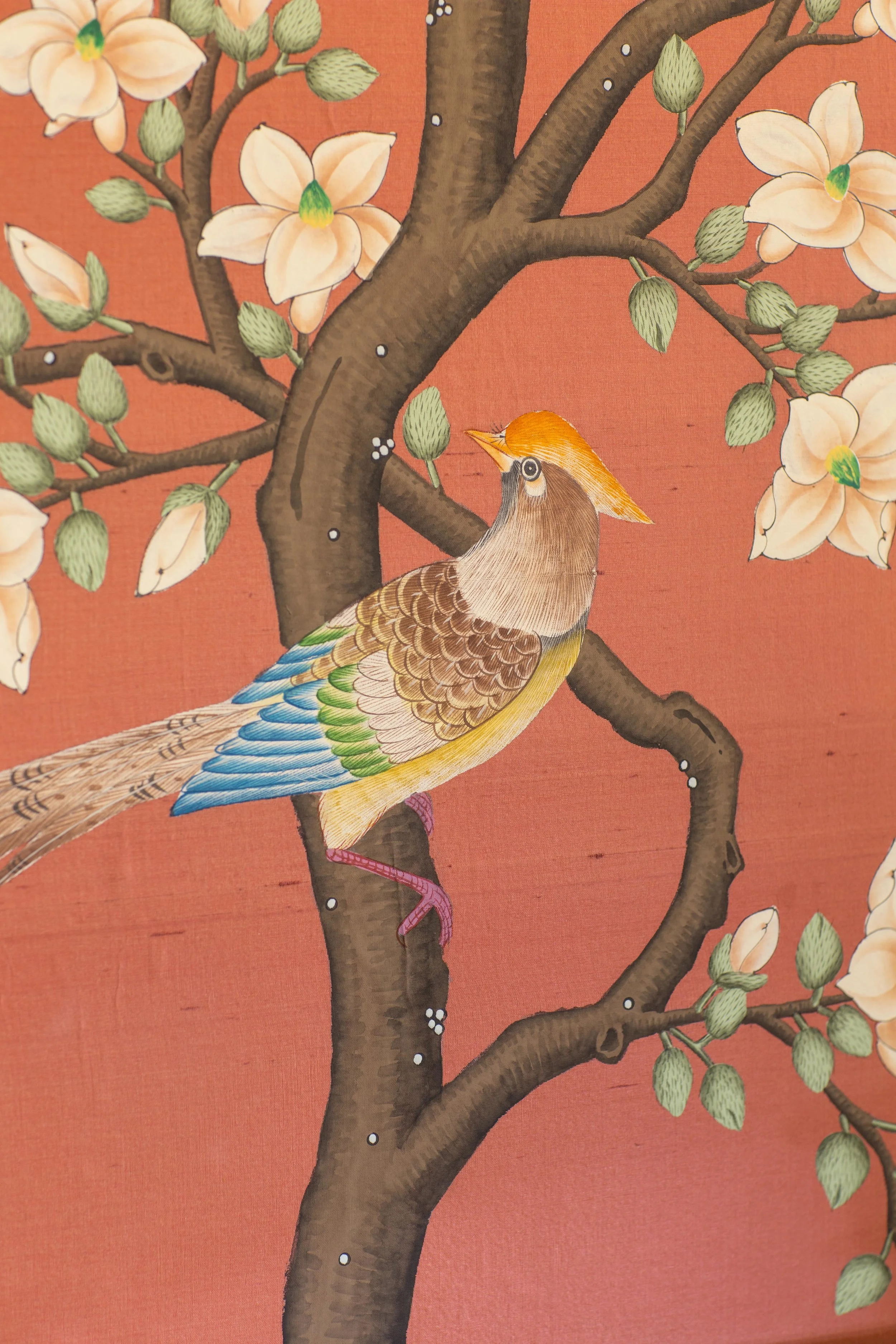 Detail Shot, Gracie Wallpaper  (Copy)