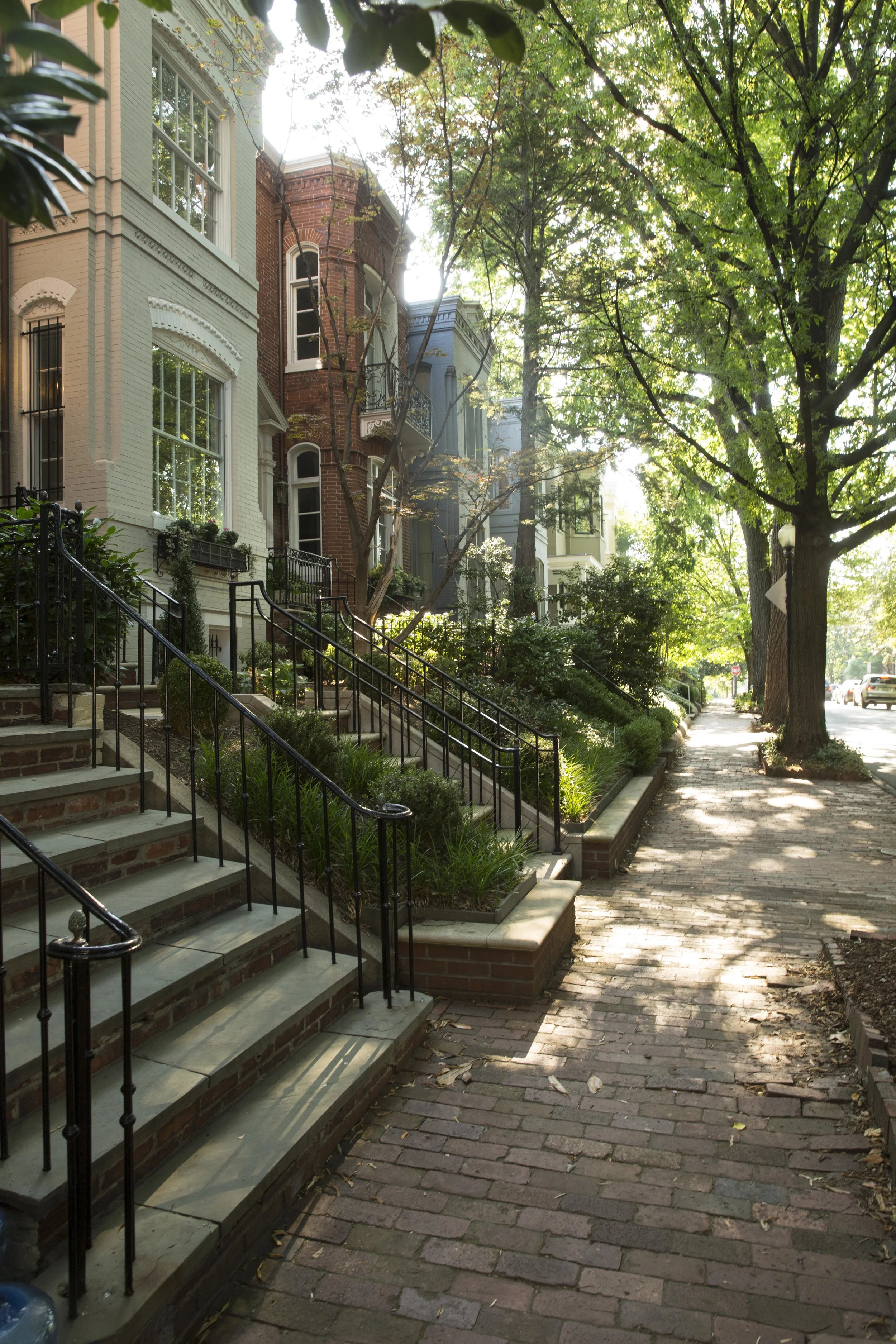 View of Tree-Lined Street (Copy)