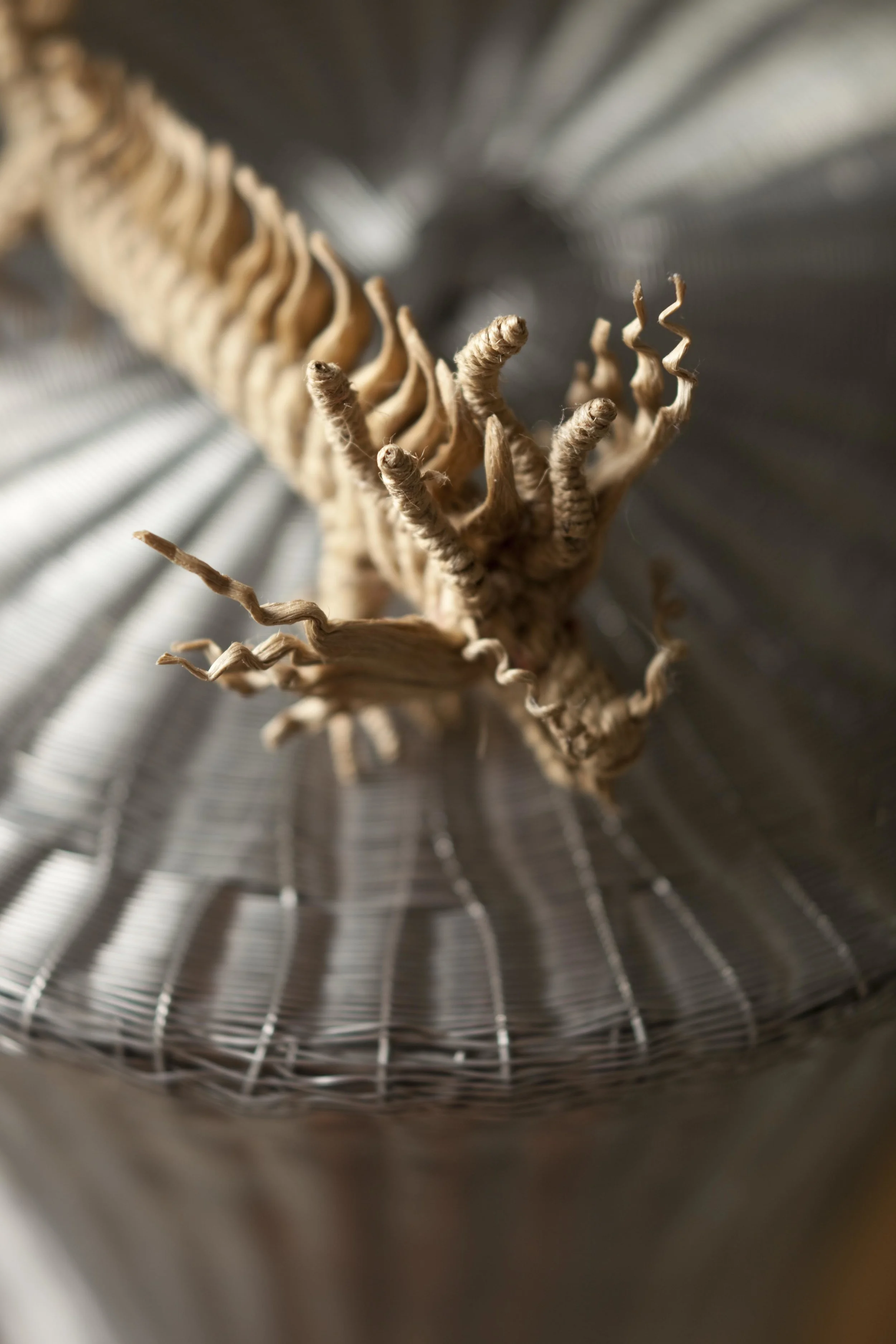 Woven Basket Detail (Copy)