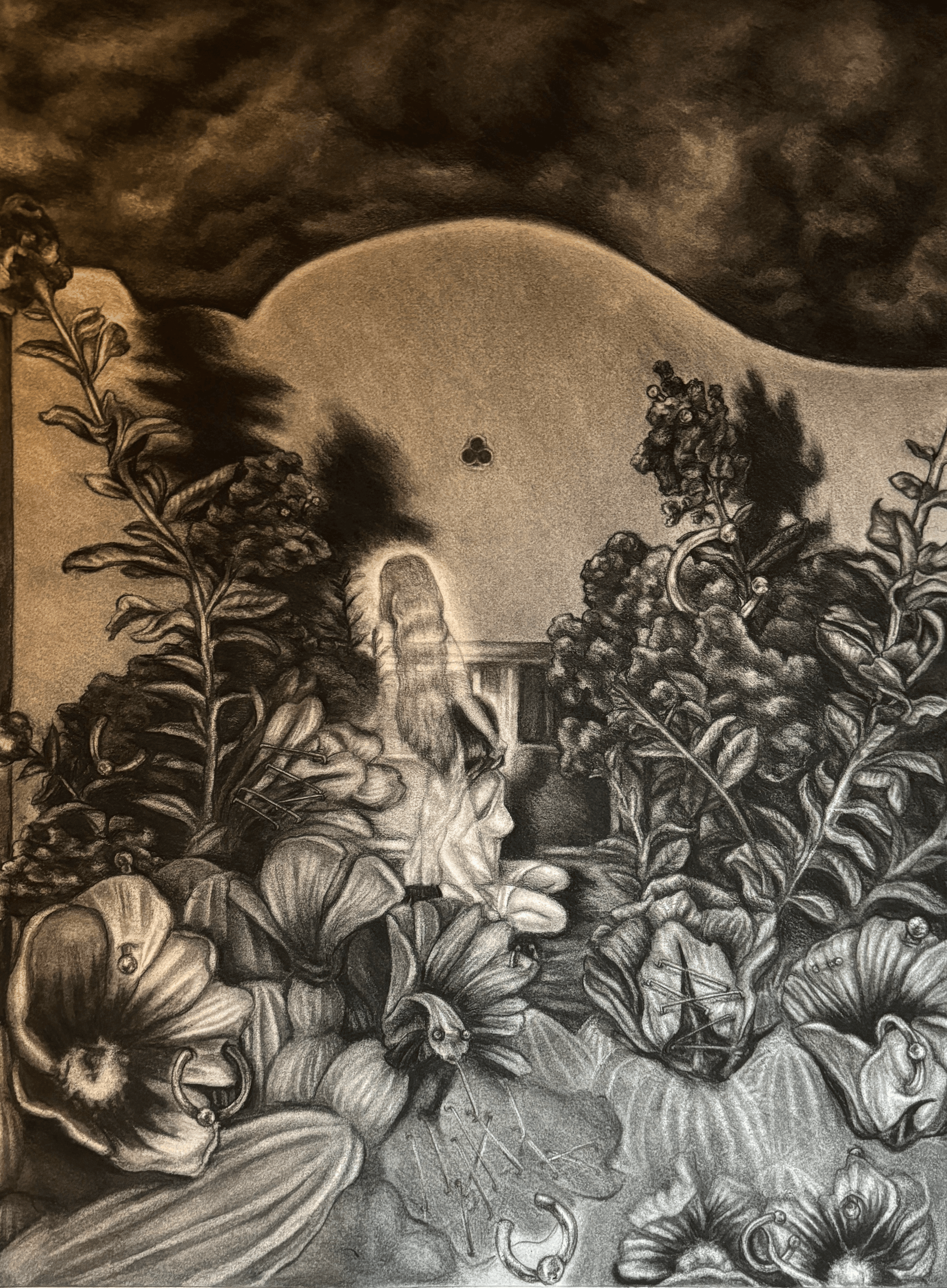Untitled (2025)
Charcoal on paper
18" x 24"