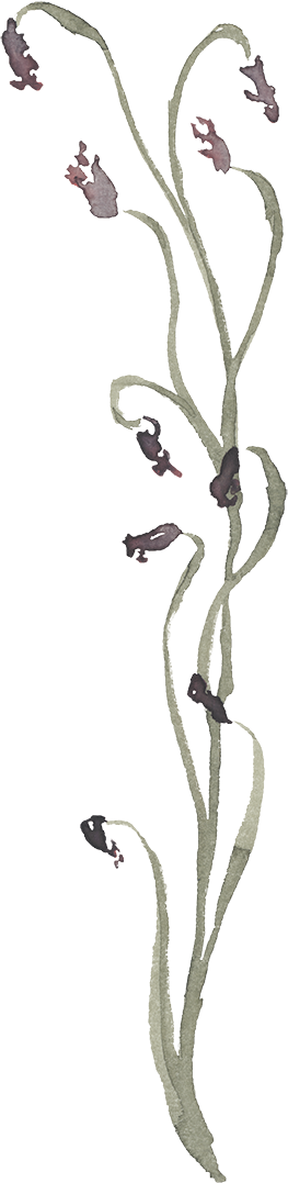 Illustration of a plant with small, dark-colored mice climbing the stem and interacting with the leaves