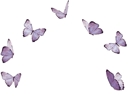 Seven purple butterflies flying against a black background.