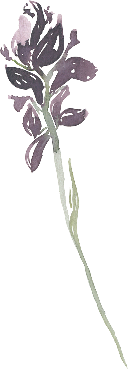 A watercolor illustration of a tall flower with dark purple petals and a green stem, partially outlined and textured.