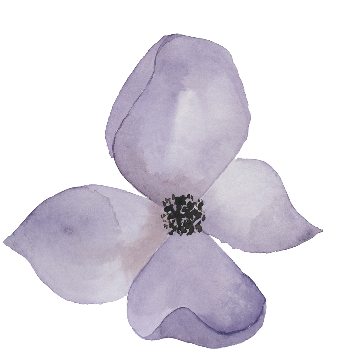 A watercolor illustration of a light purple flower with dark purple center and four petals.