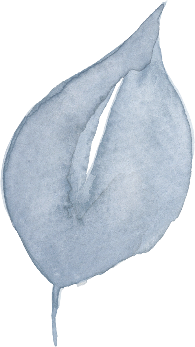 A close-up watercolor painting of a single, light-colored cotton plant seed with a stem.