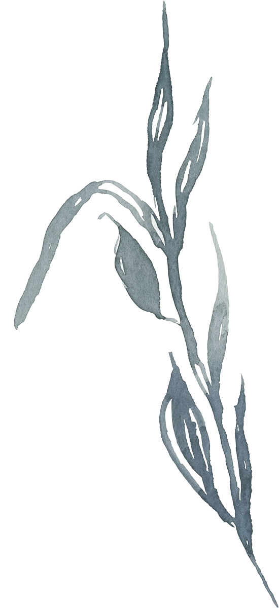 Carrie L. Jabinsky LCSW, JD Relational Therapist in New York City and Connecticut offering Integrative Psychotherapy for Individuals, Couples, and Families