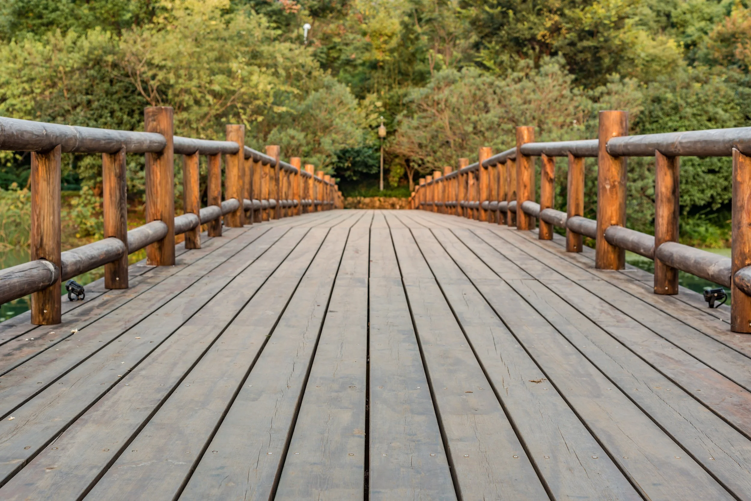 A wooden bridge with railings on both sides, extending into a lush green forest.