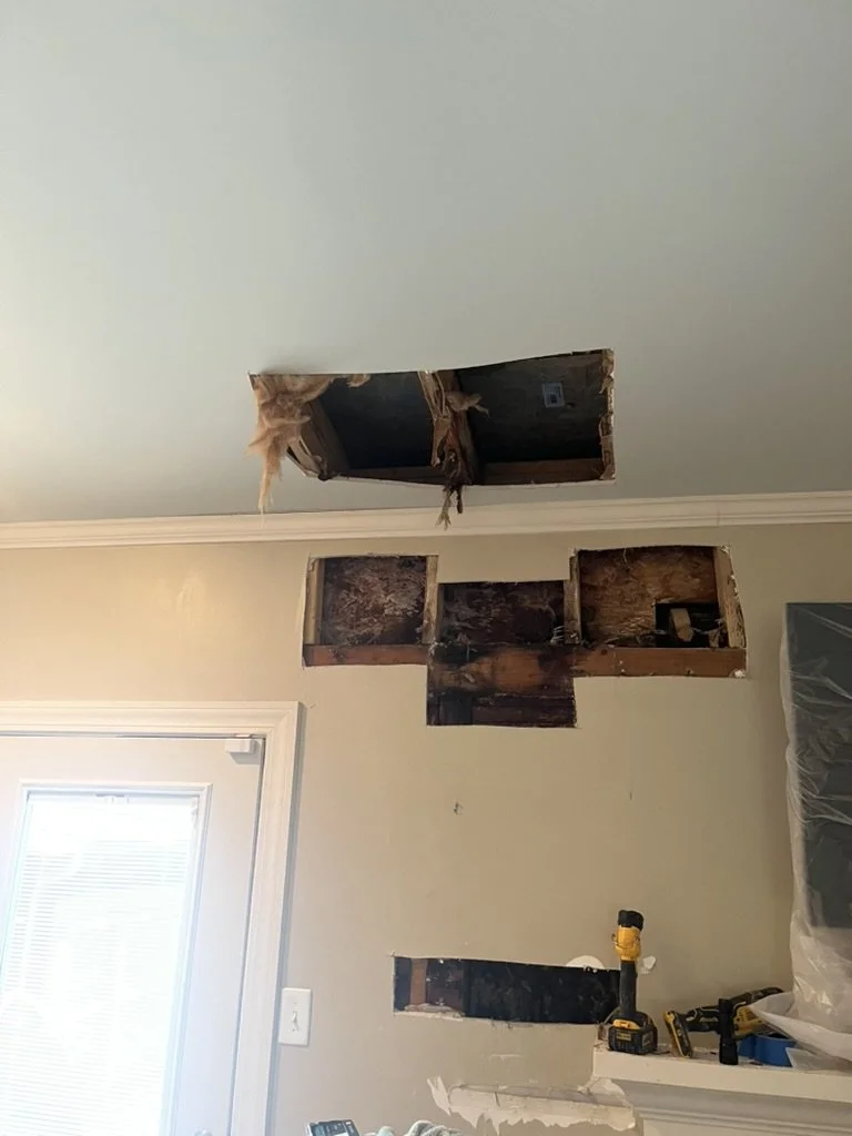 Ceiling or Drywall Repairs