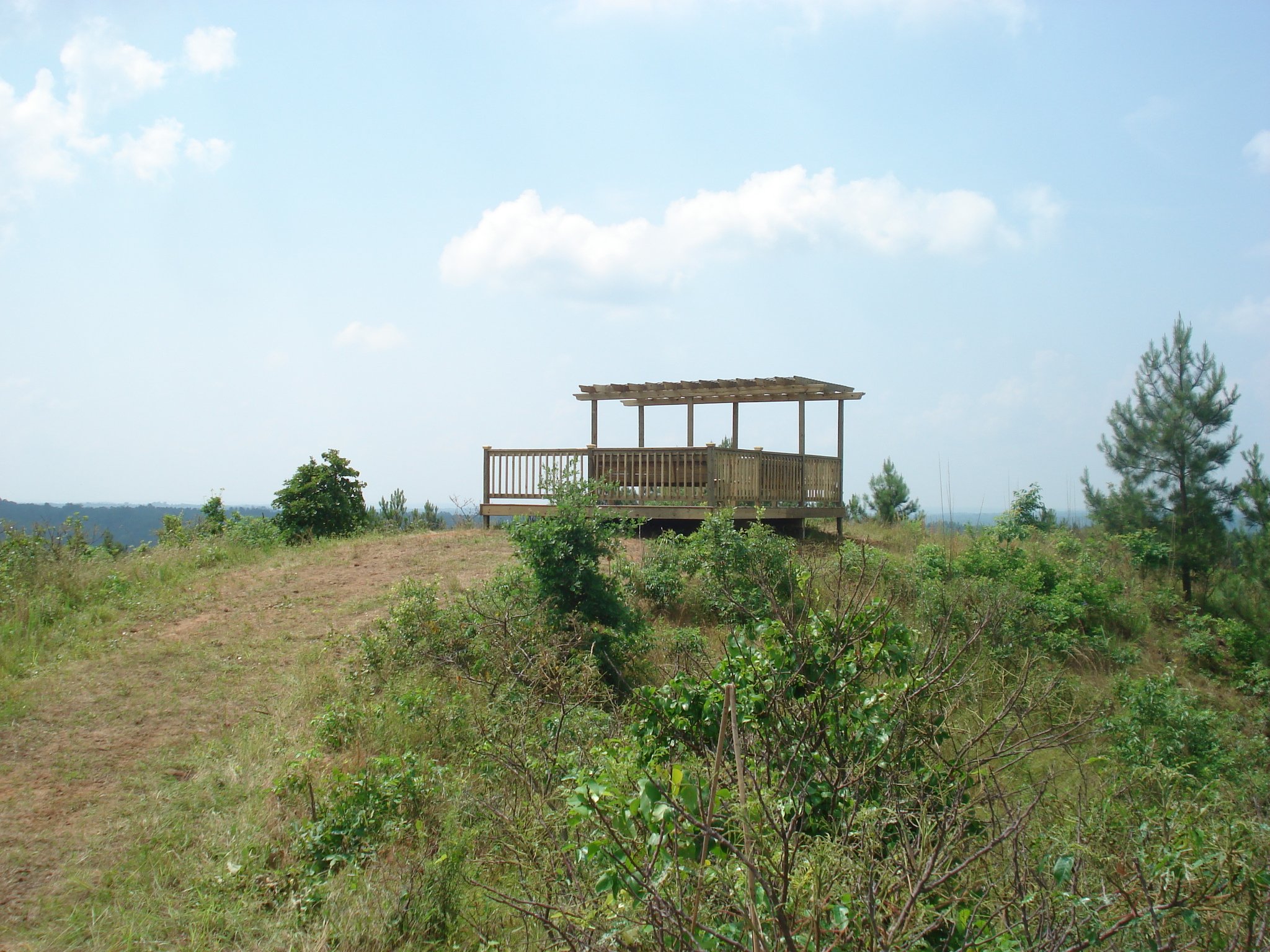Wooden deck with a roof on a grassy hilltop, surrounded by trees, under a partly cloudy sky.