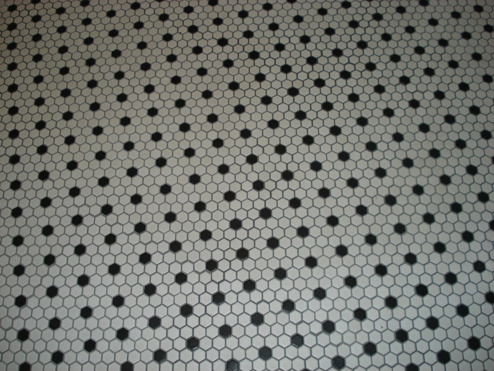 new jersy 016.JPG
